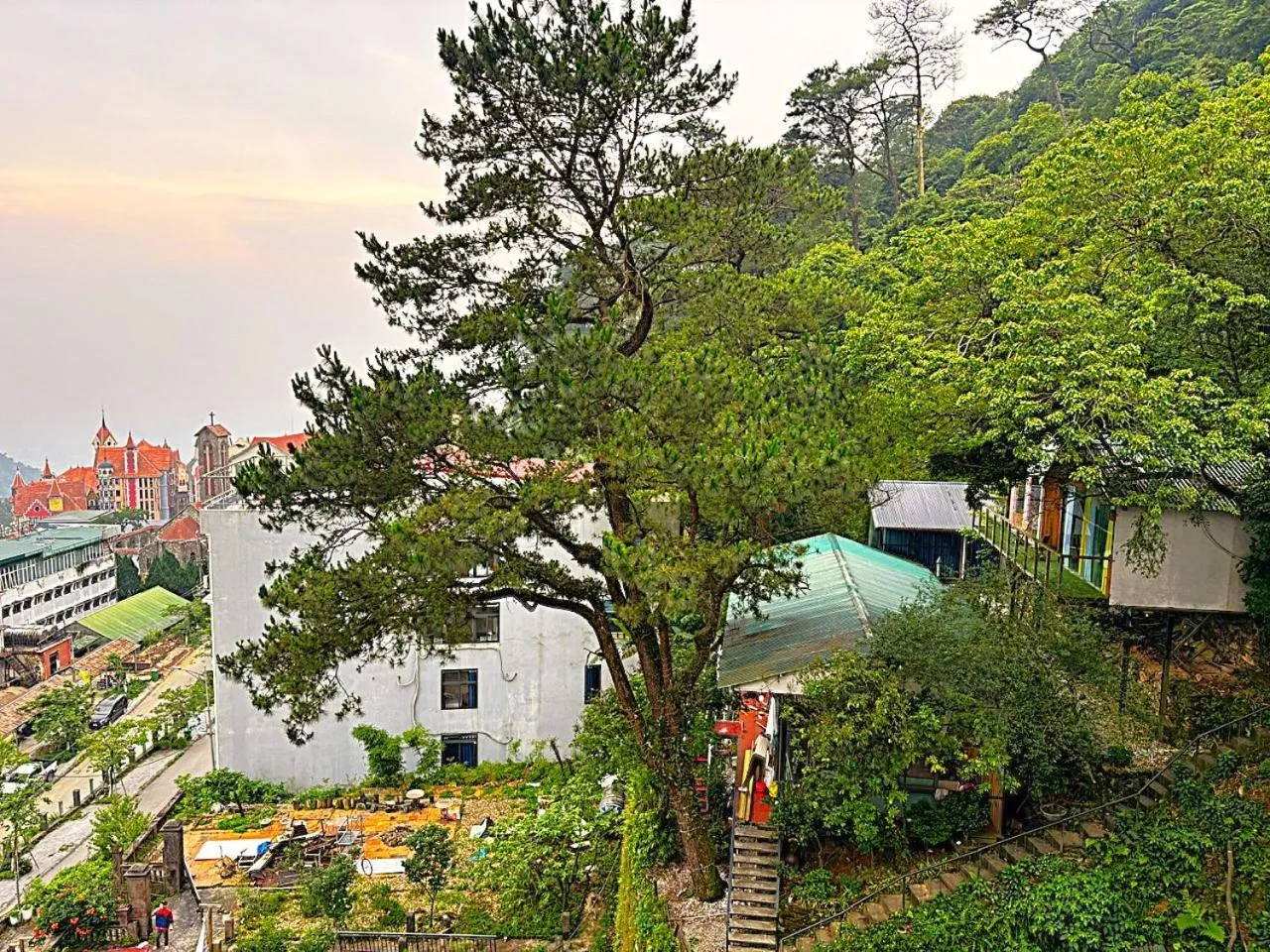 Natural landscape in Chân Mây Tam Đảo