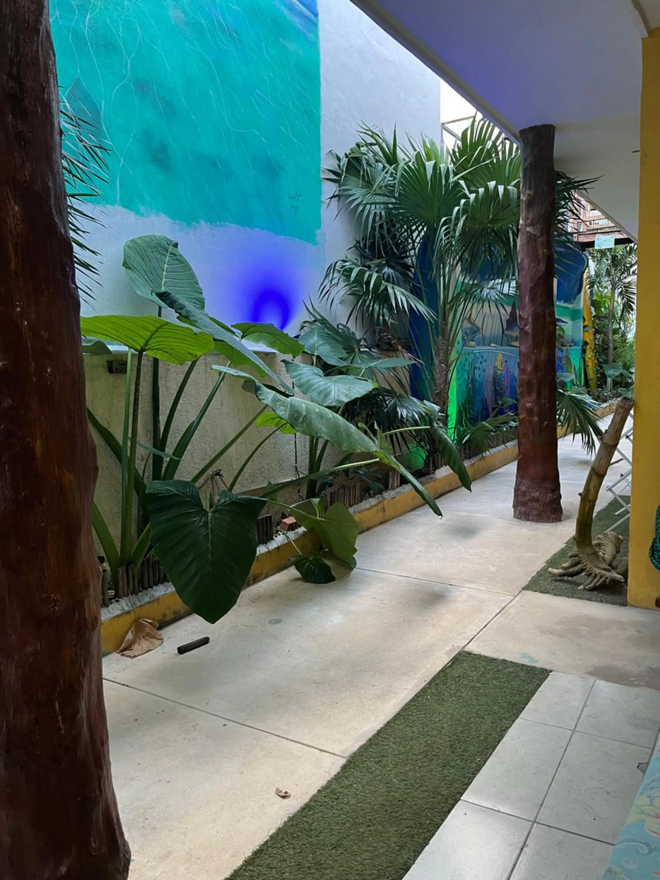 Natural landscape in Casa Velero Puerto Morelos