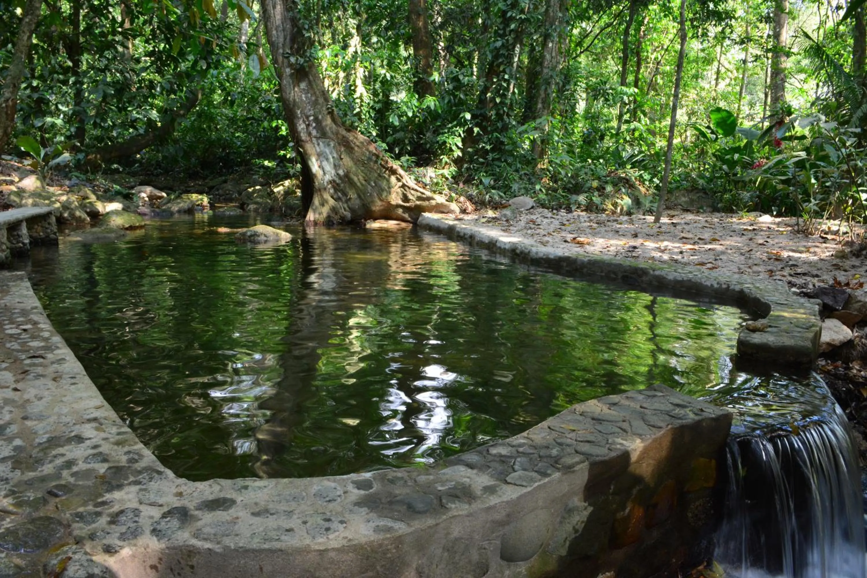 Area and facilities in Casa Cangrejal B&B Hotel