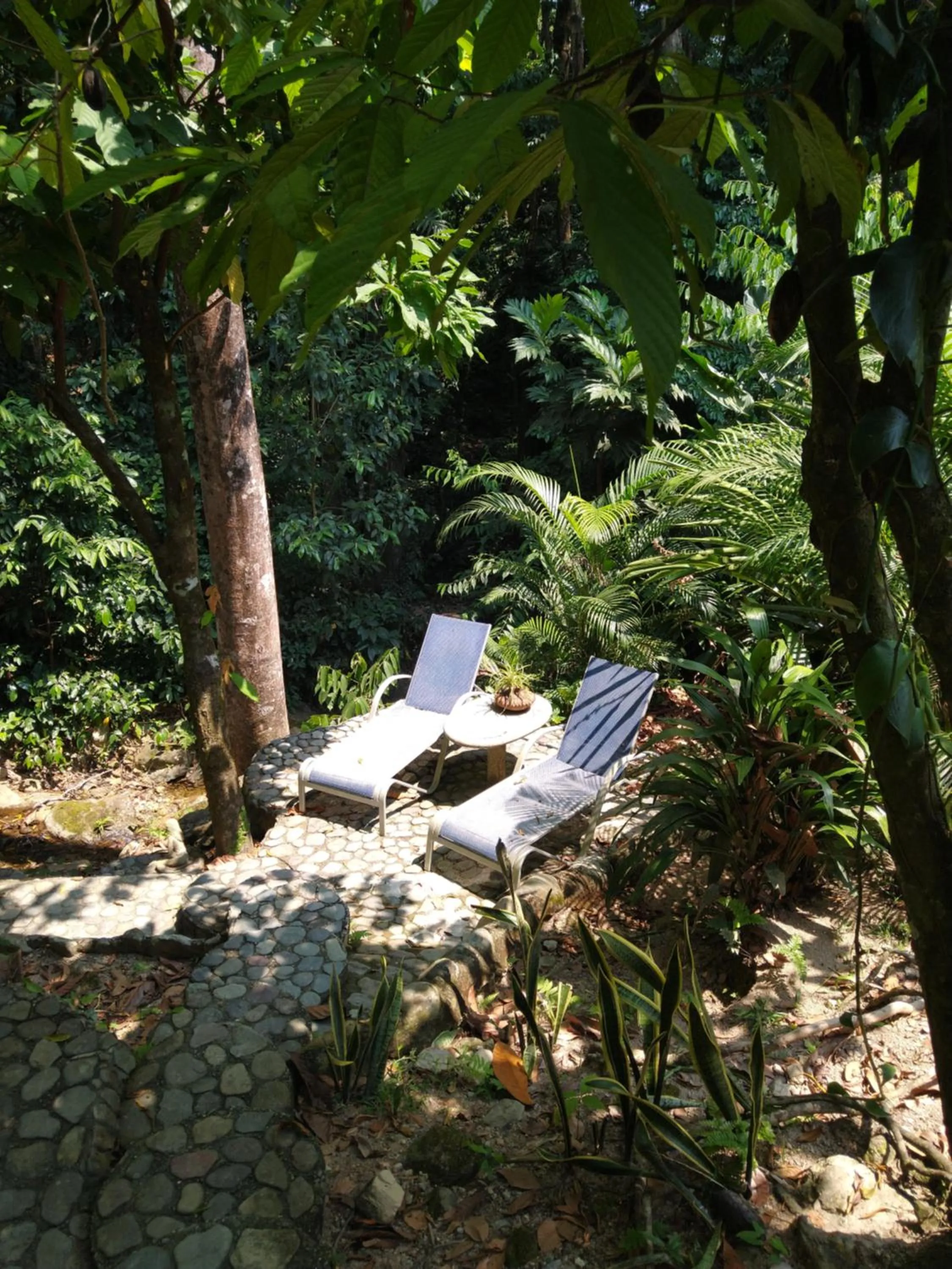 Garden in Casa Cangrejal B&B Hotel
