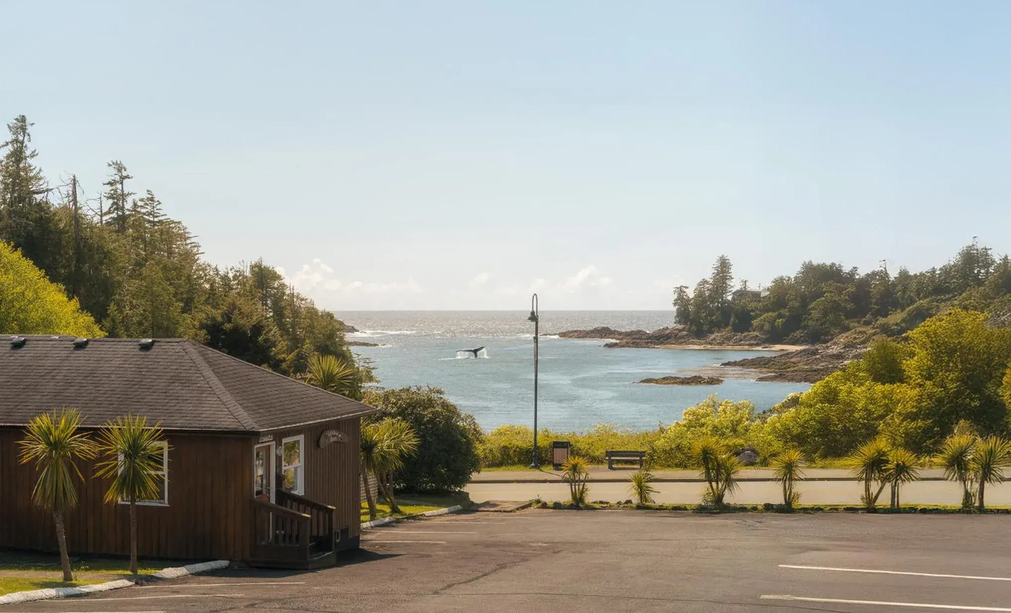 Little Beach Resort Little Beach Resort