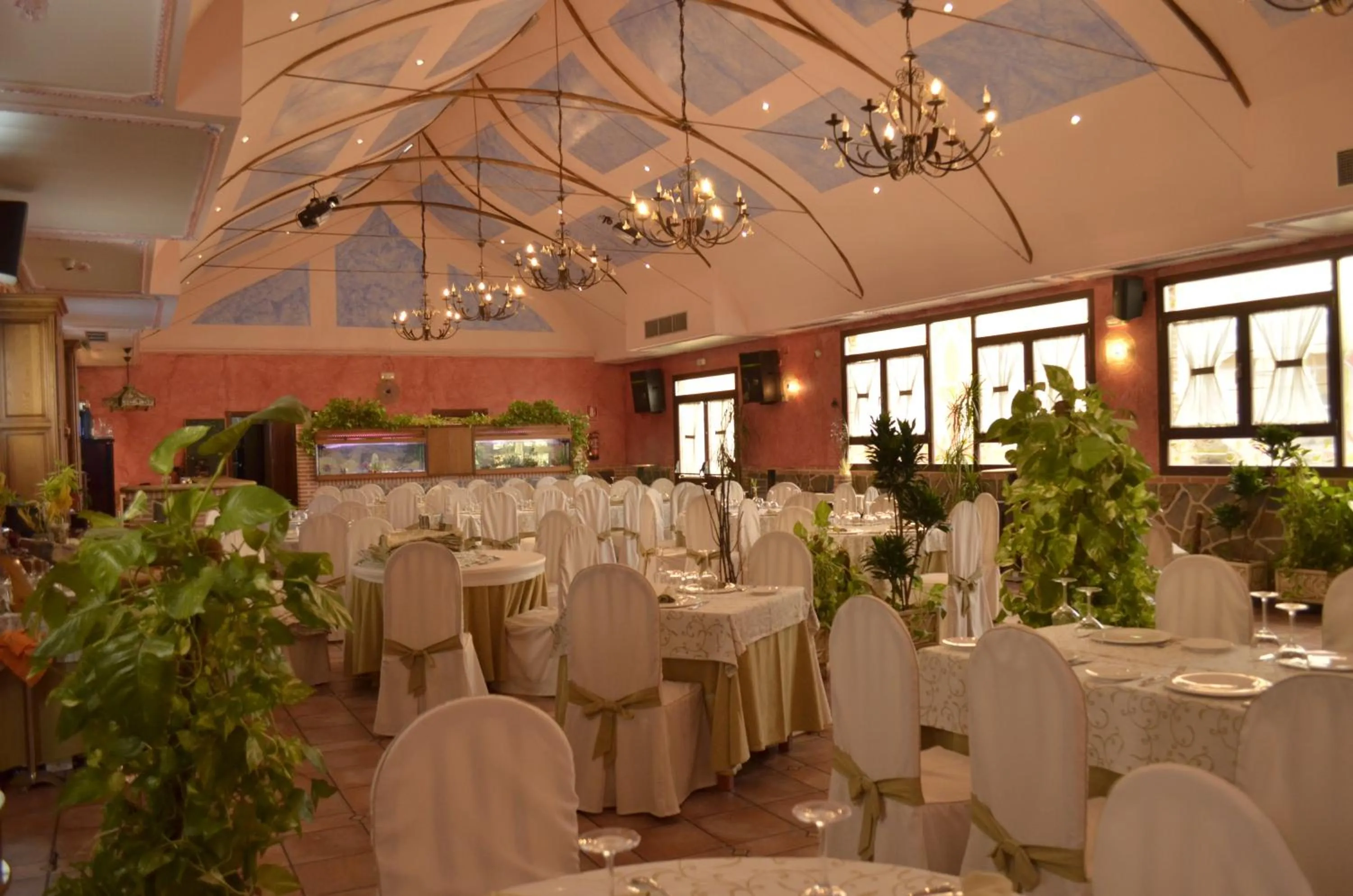 Restaurant/places to eat in El Volante