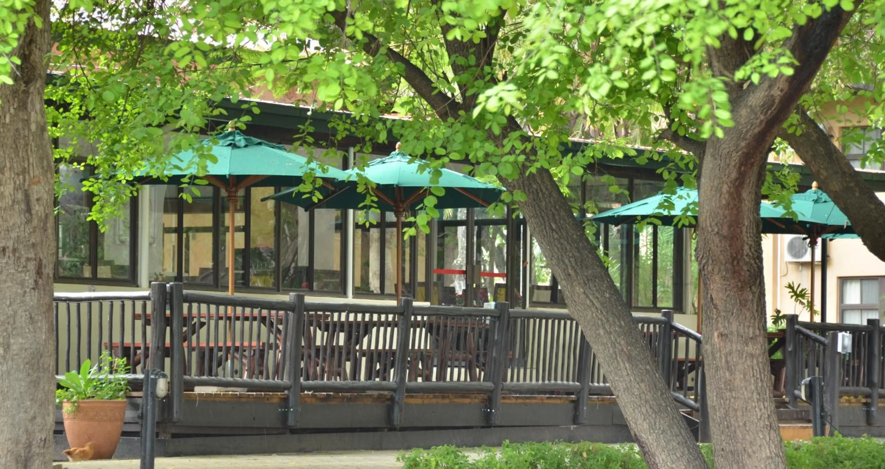 Restaurant/places to eat in Cresta Riley's Hotel