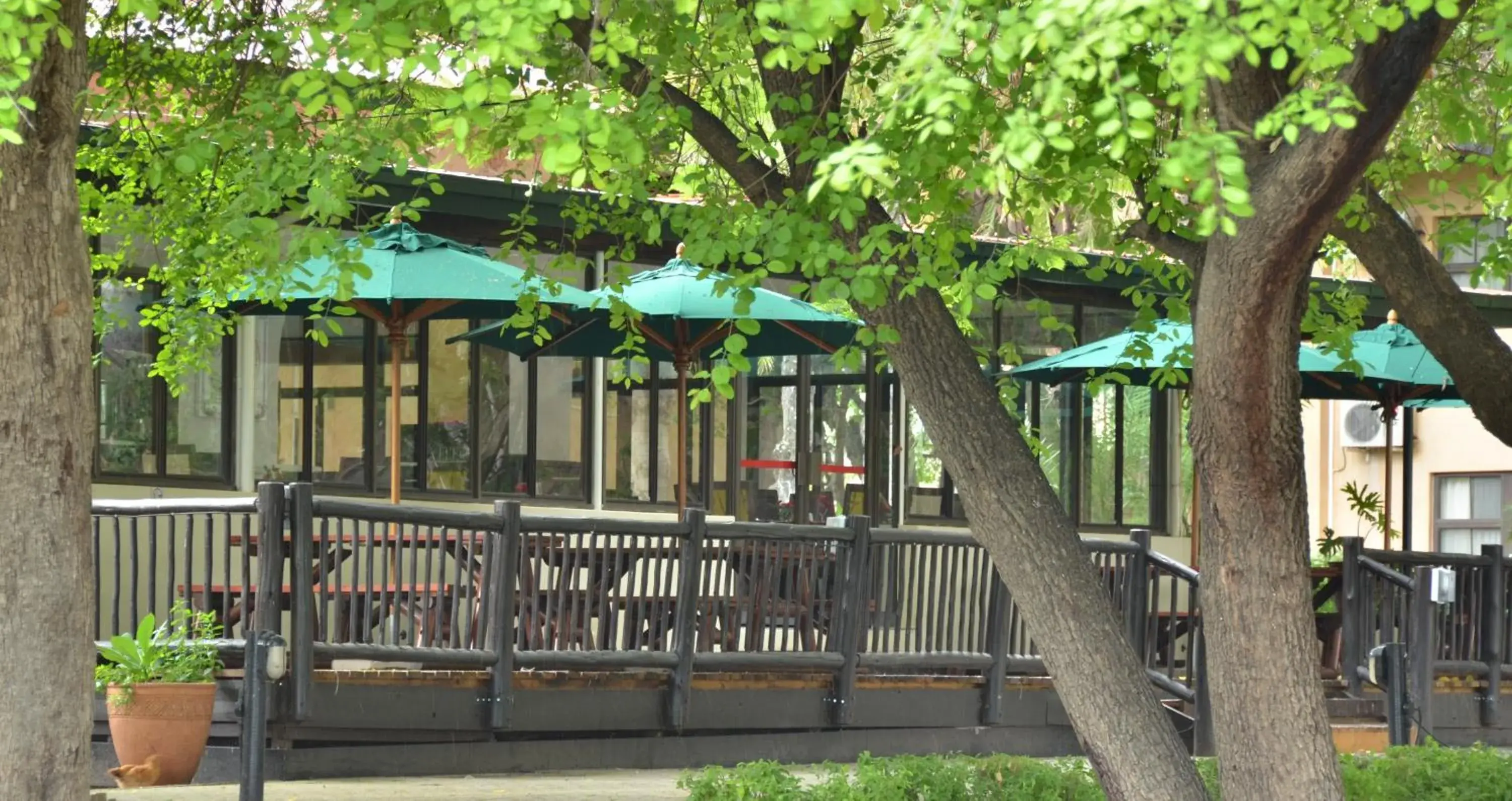 Restaurant/places to eat in Cresta Riley's Hotel Restaurant/places to eat in Cresta Riley's Hotel