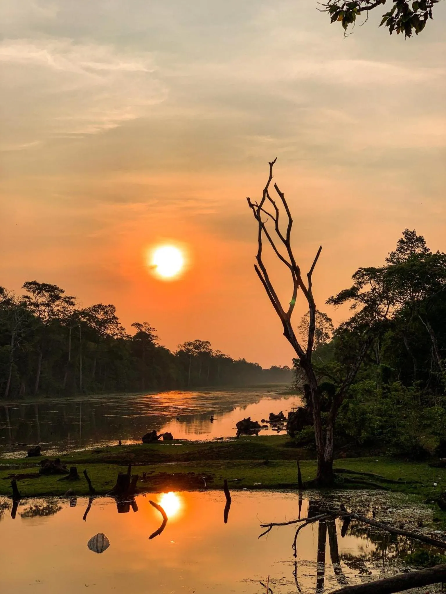 Natural landscape in Hotel Alfredos