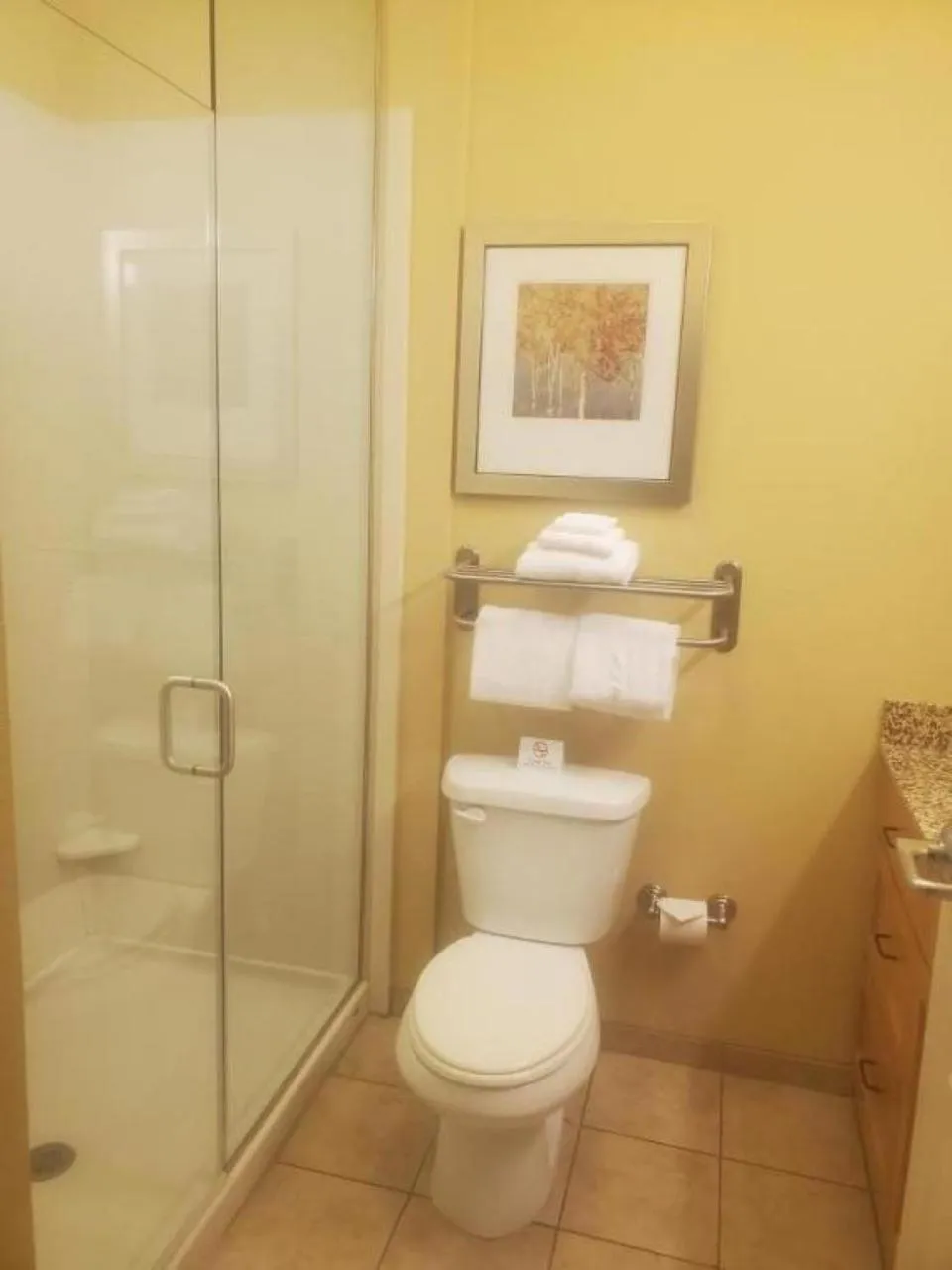 Bathroom in MainStay Suites Sidney - Medical Center