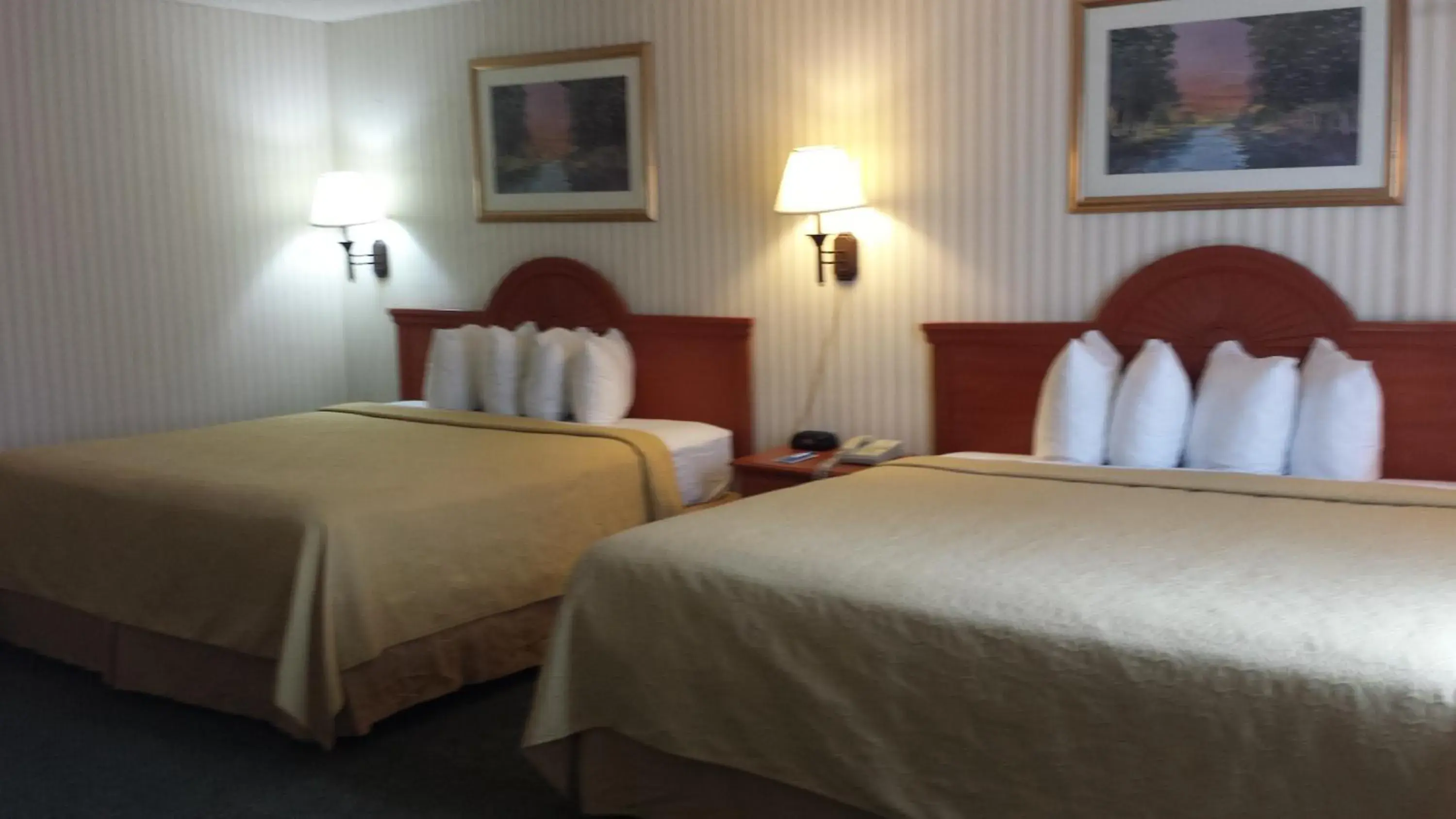 Bed in Rodeway Inn Joint Base Andrews Area Bed in Rodeway Inn Joint Base Andrews Area