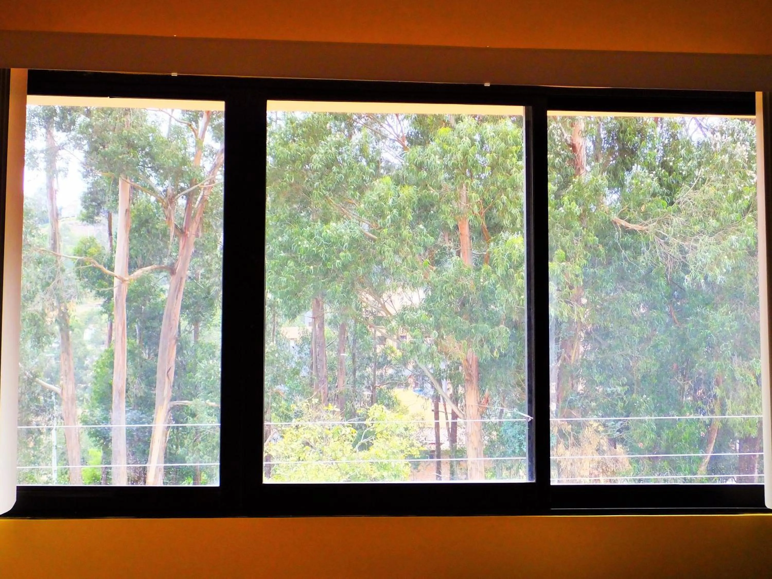 Balcony/Terrace in Hostal Kolibri B&B