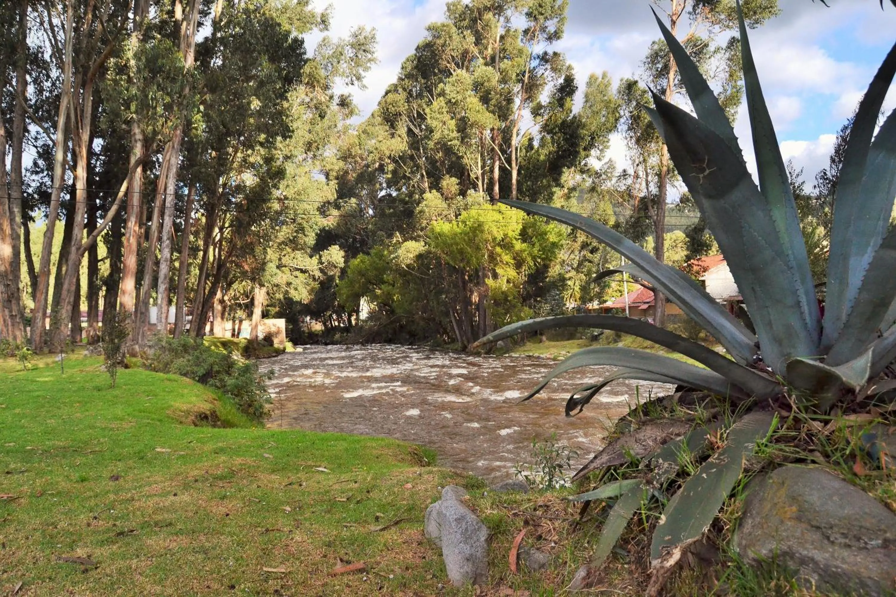 View (from property/room) in Hostal Kolibri B&B