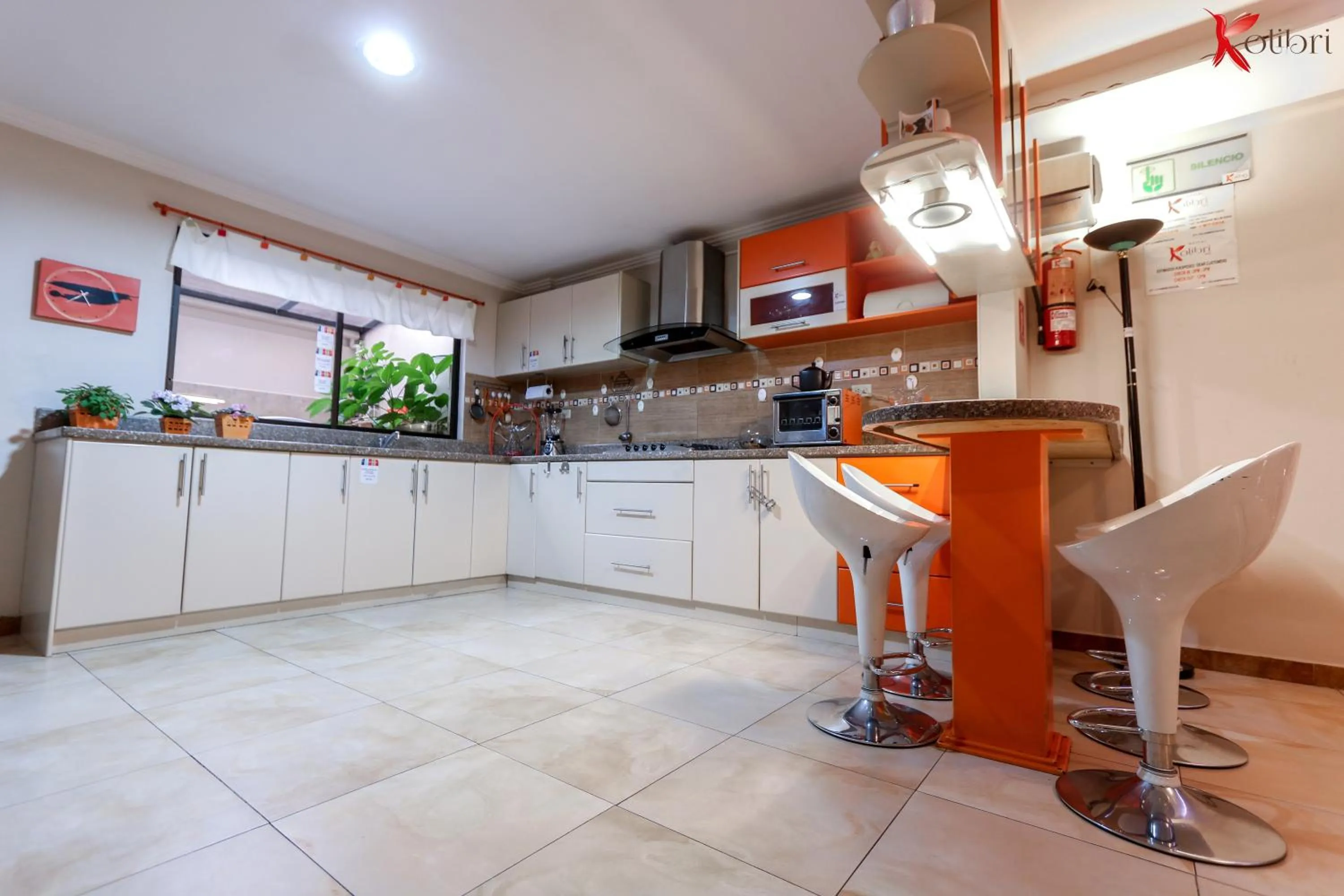 Kitchen or kitchenette in Hostal Kolibri B&B