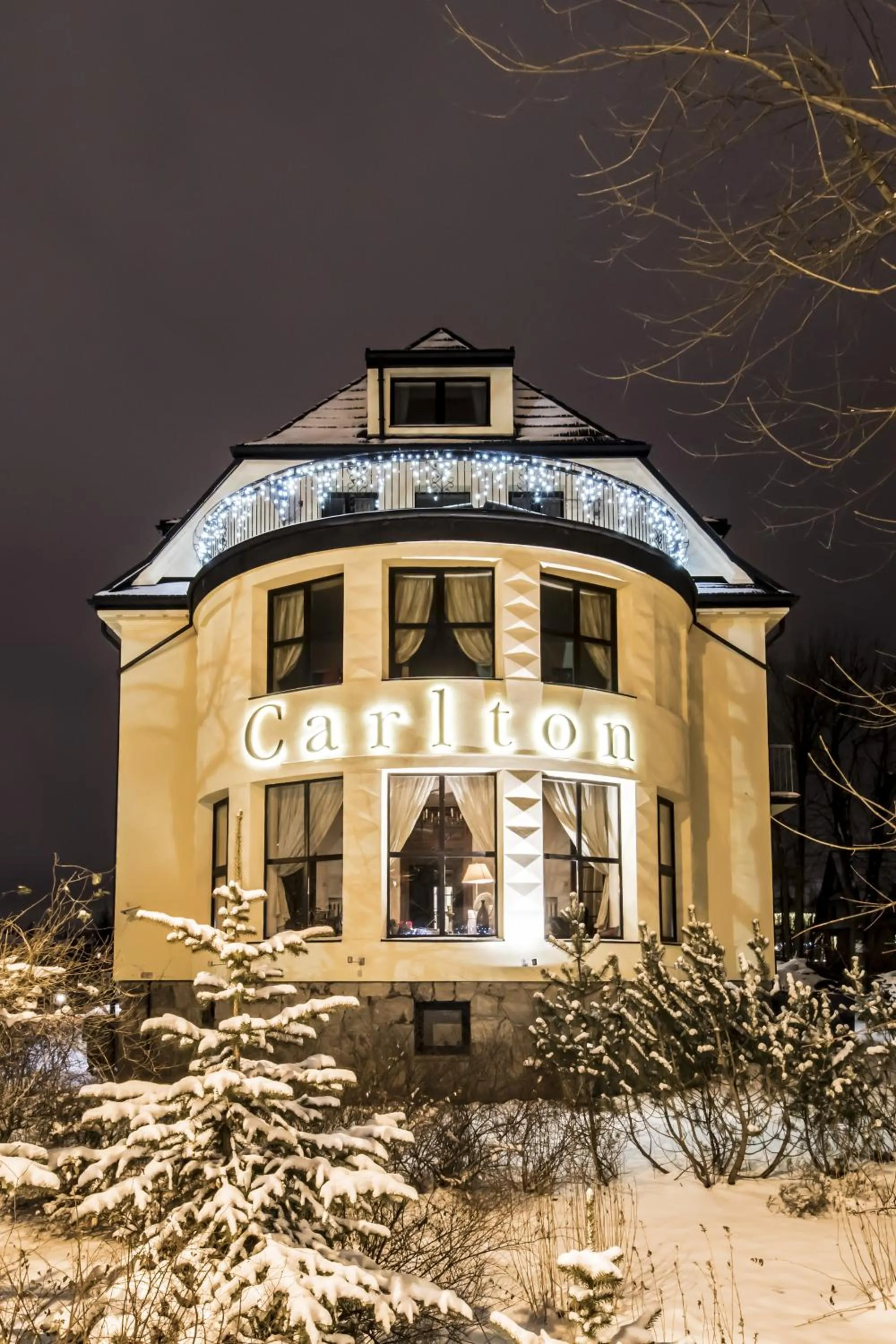 Garden in Willa Carlton