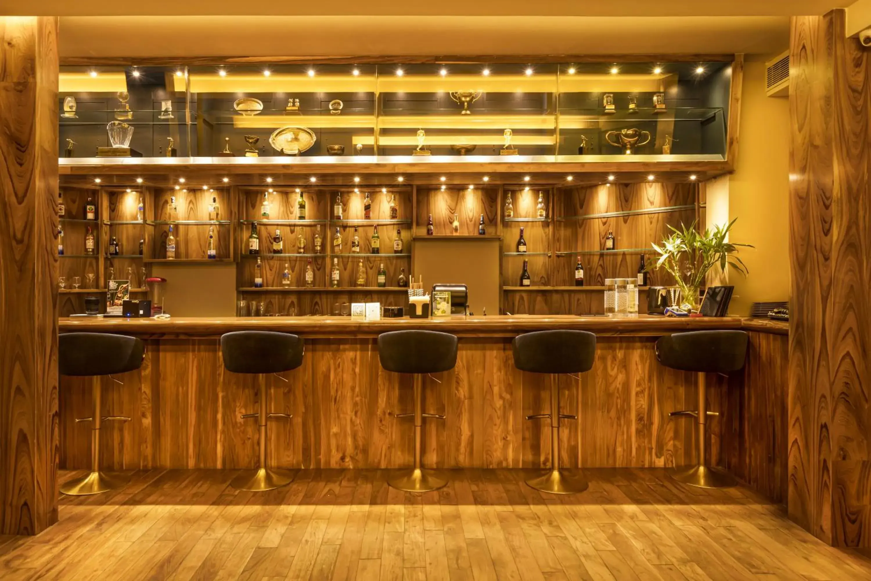 Restaurant/places to eat in Hotel Kamal Palace Restaurant/places to eat in Hotel Kamal Palace