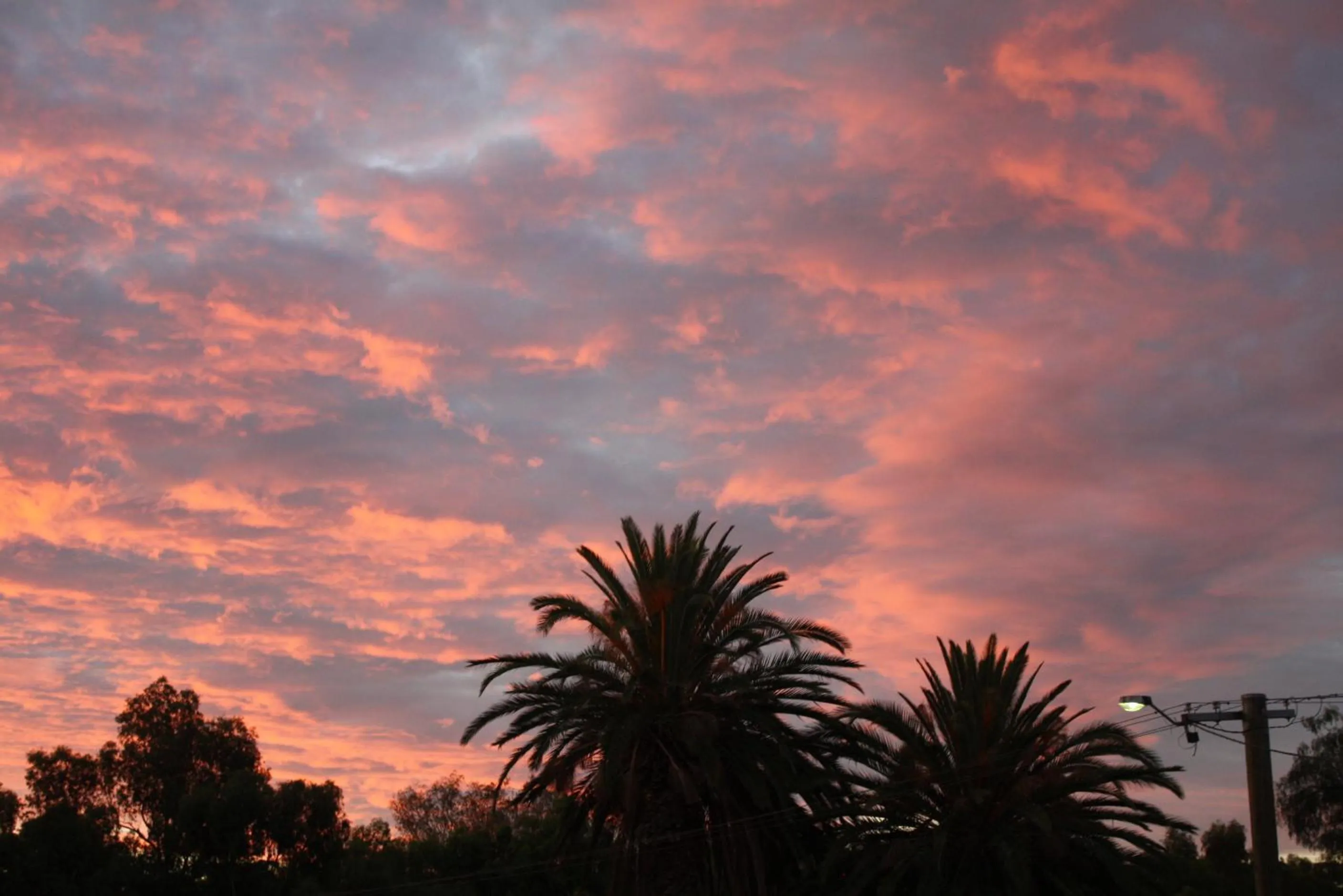 Natural landscape in The York Palace Accommodation