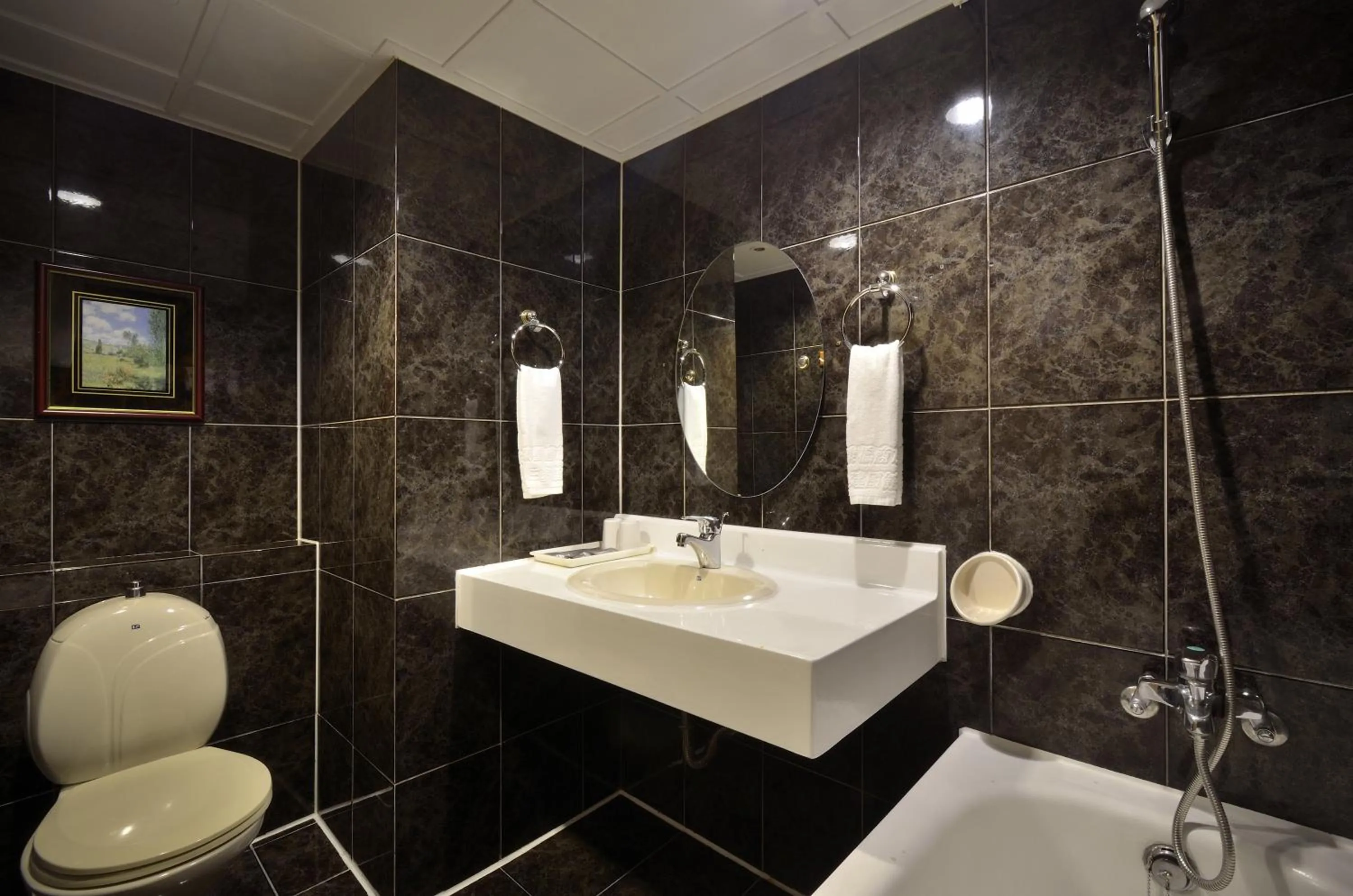 Toilet in Goodness Hotel