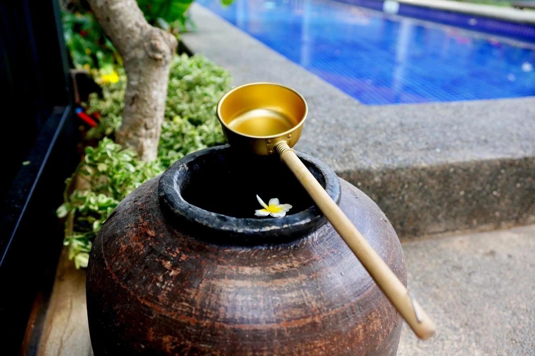 Day in Mayfair Garden Resort