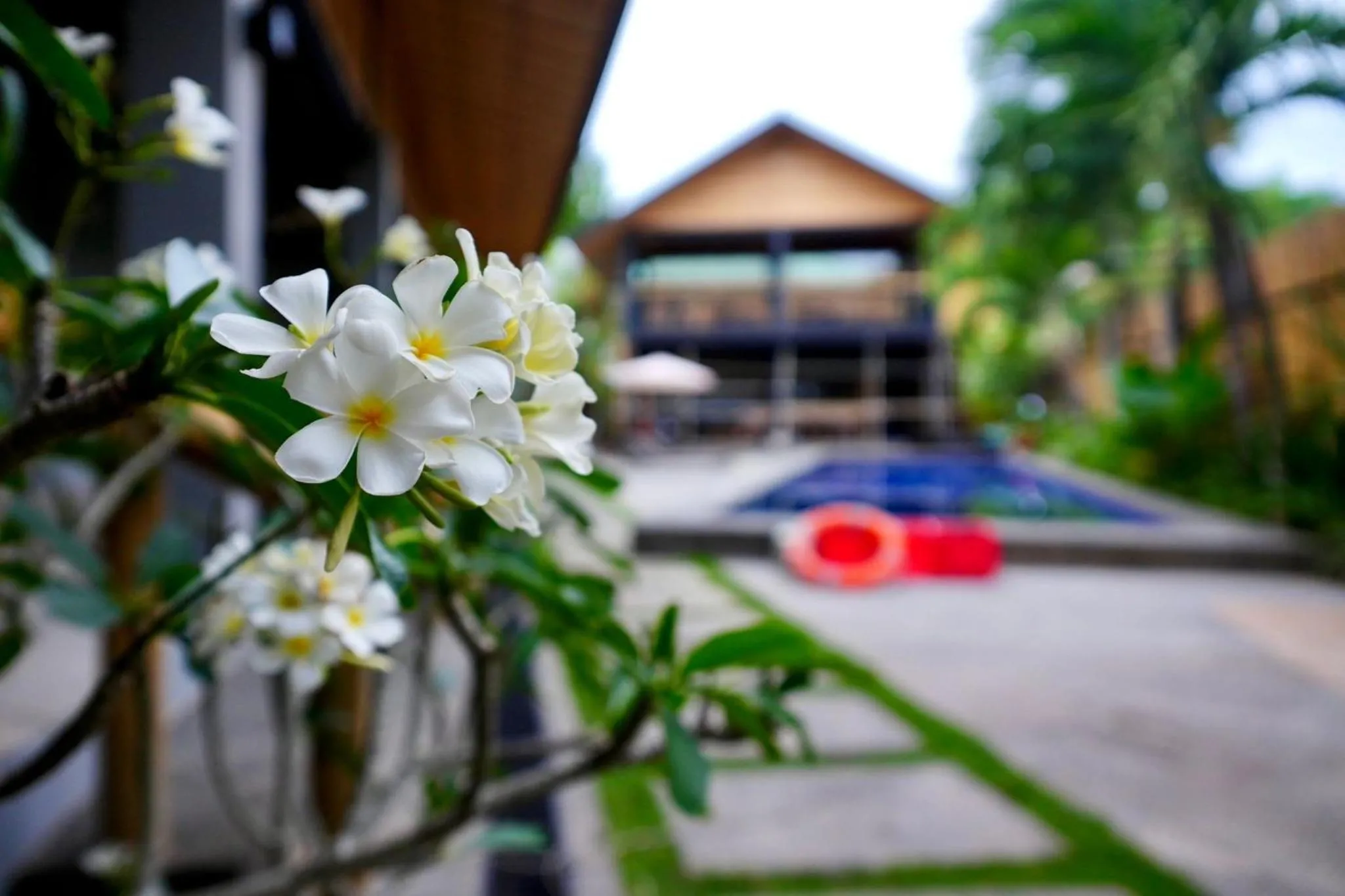 Garden in Mayfair Garden Resort