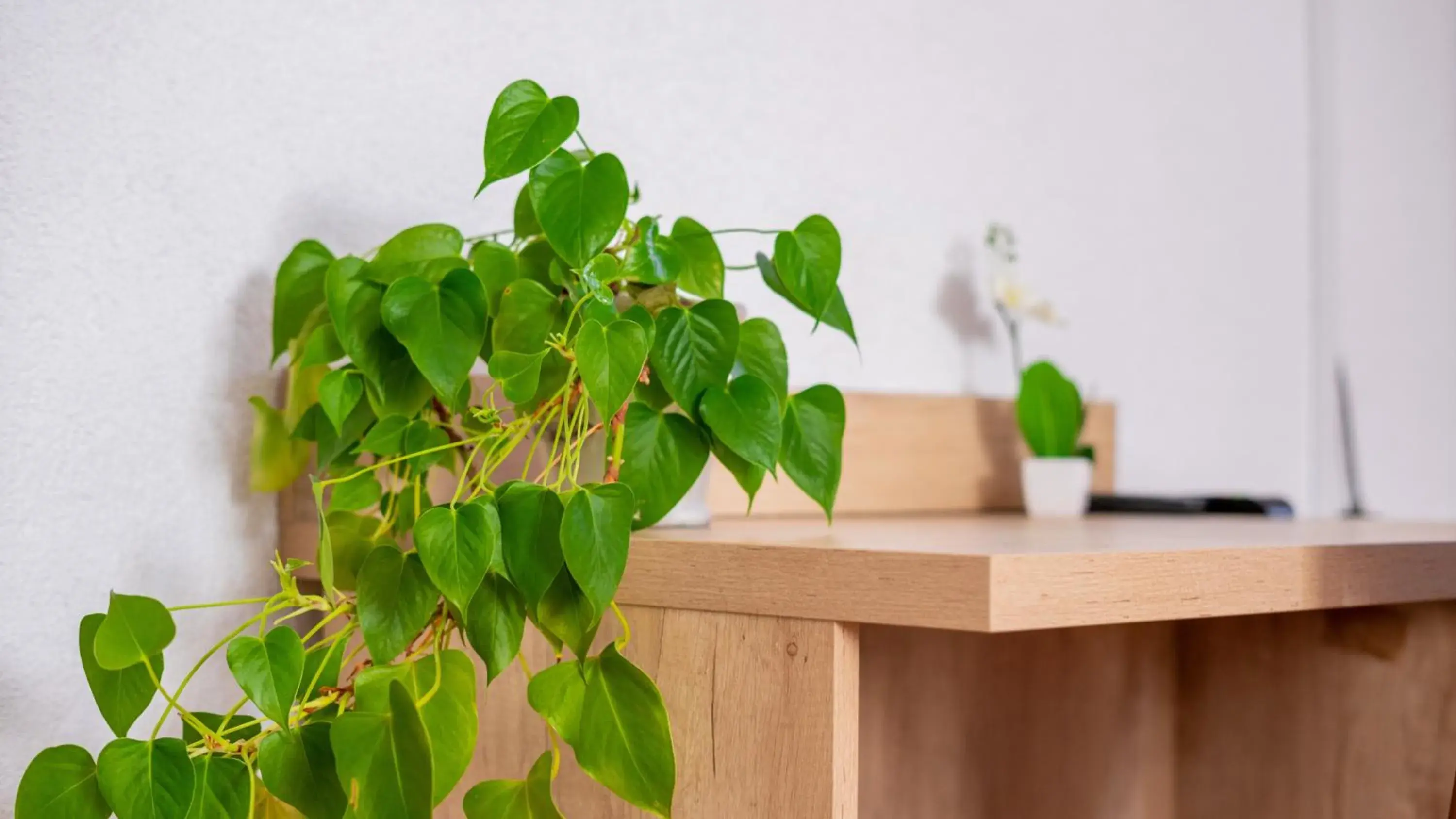 Hotel Kreuz Hotel Kreuz