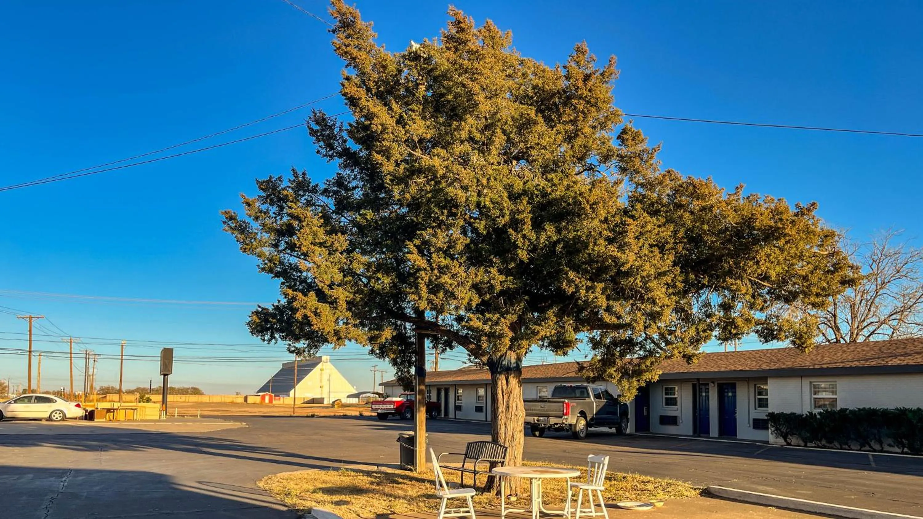 Property building in Motel 6 - Lamesa, TX