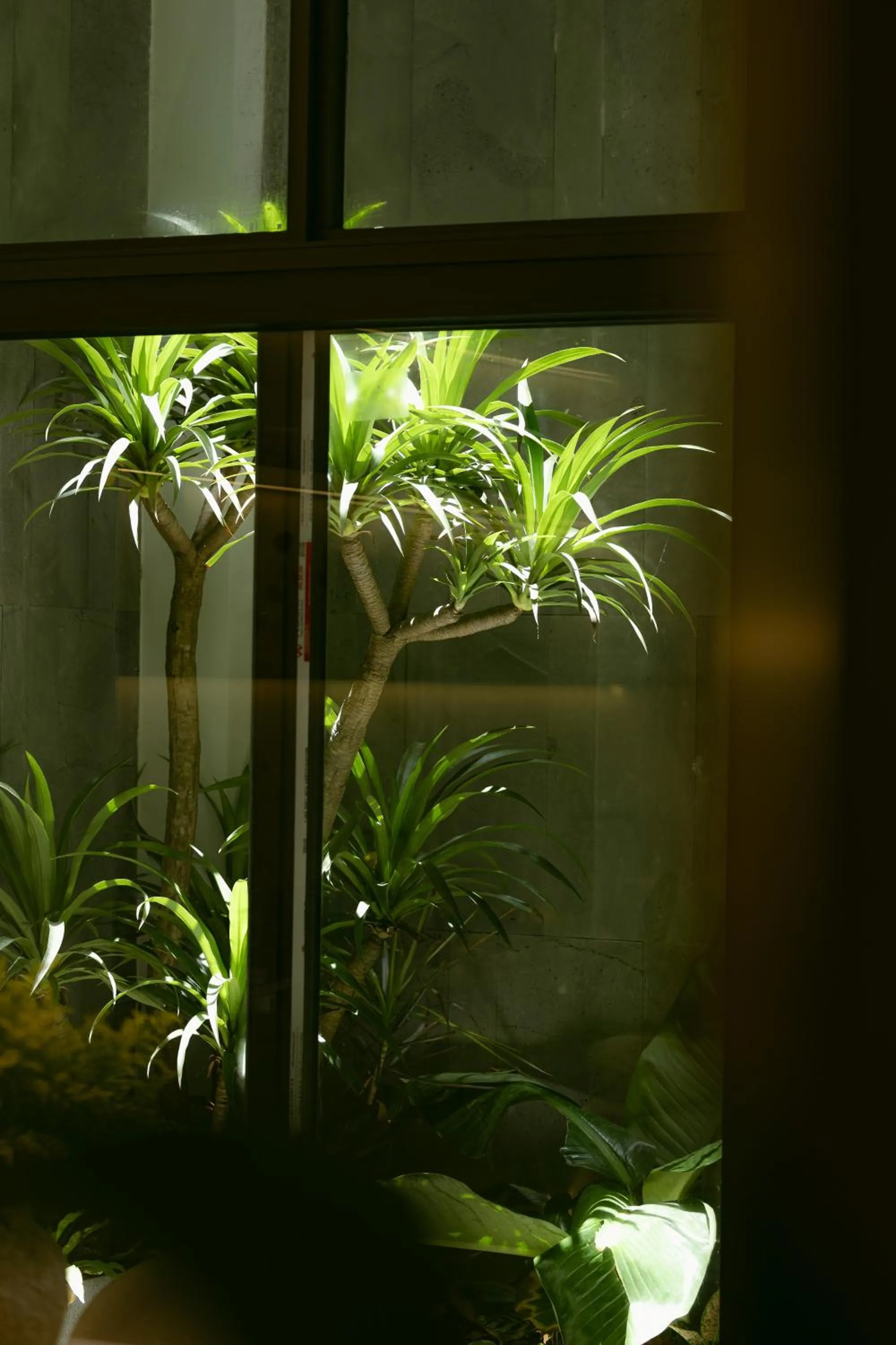 Garden in CIBI Homes - Hanoi Central Living Space