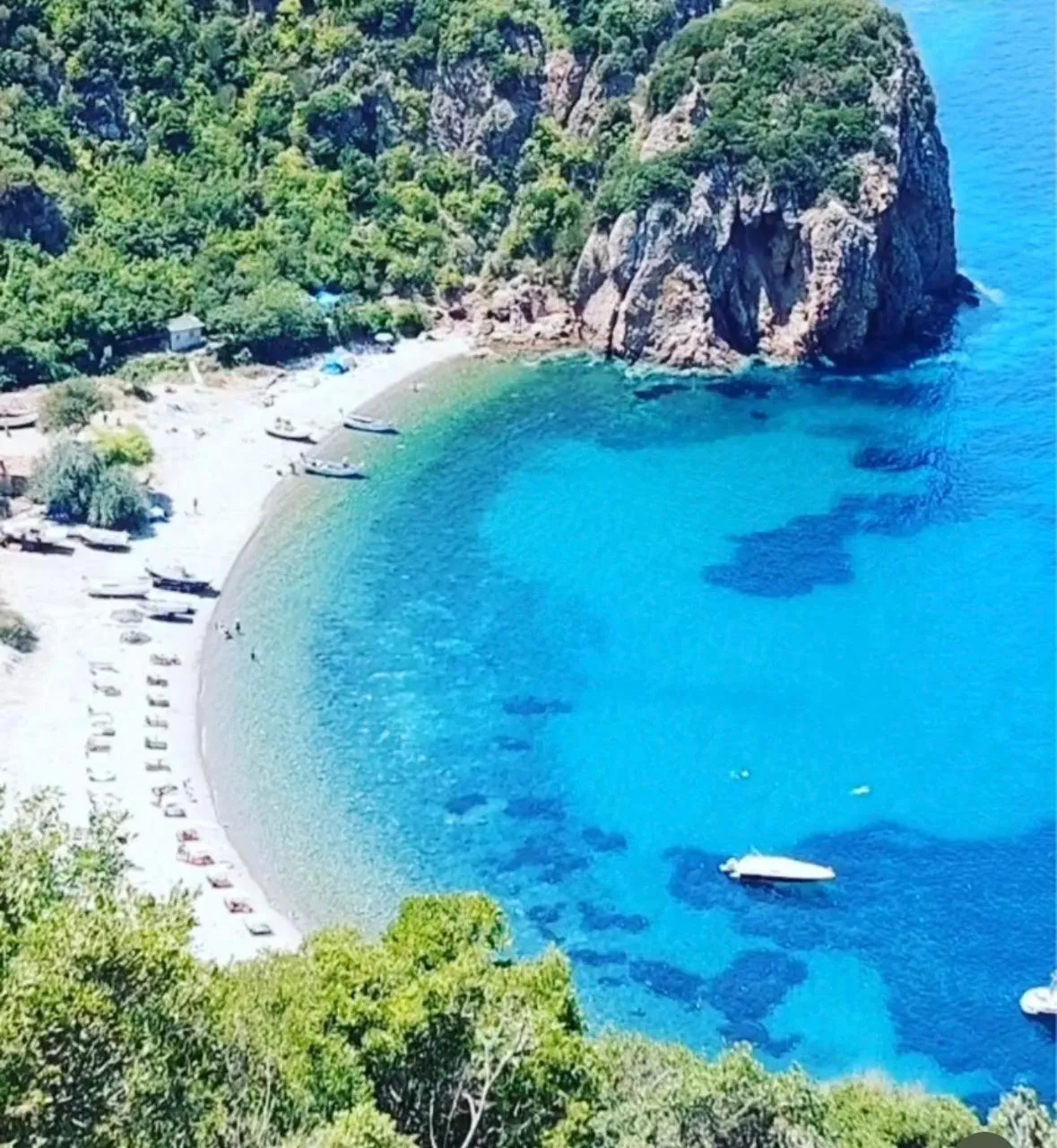 Diving in Hotel Milestone1915