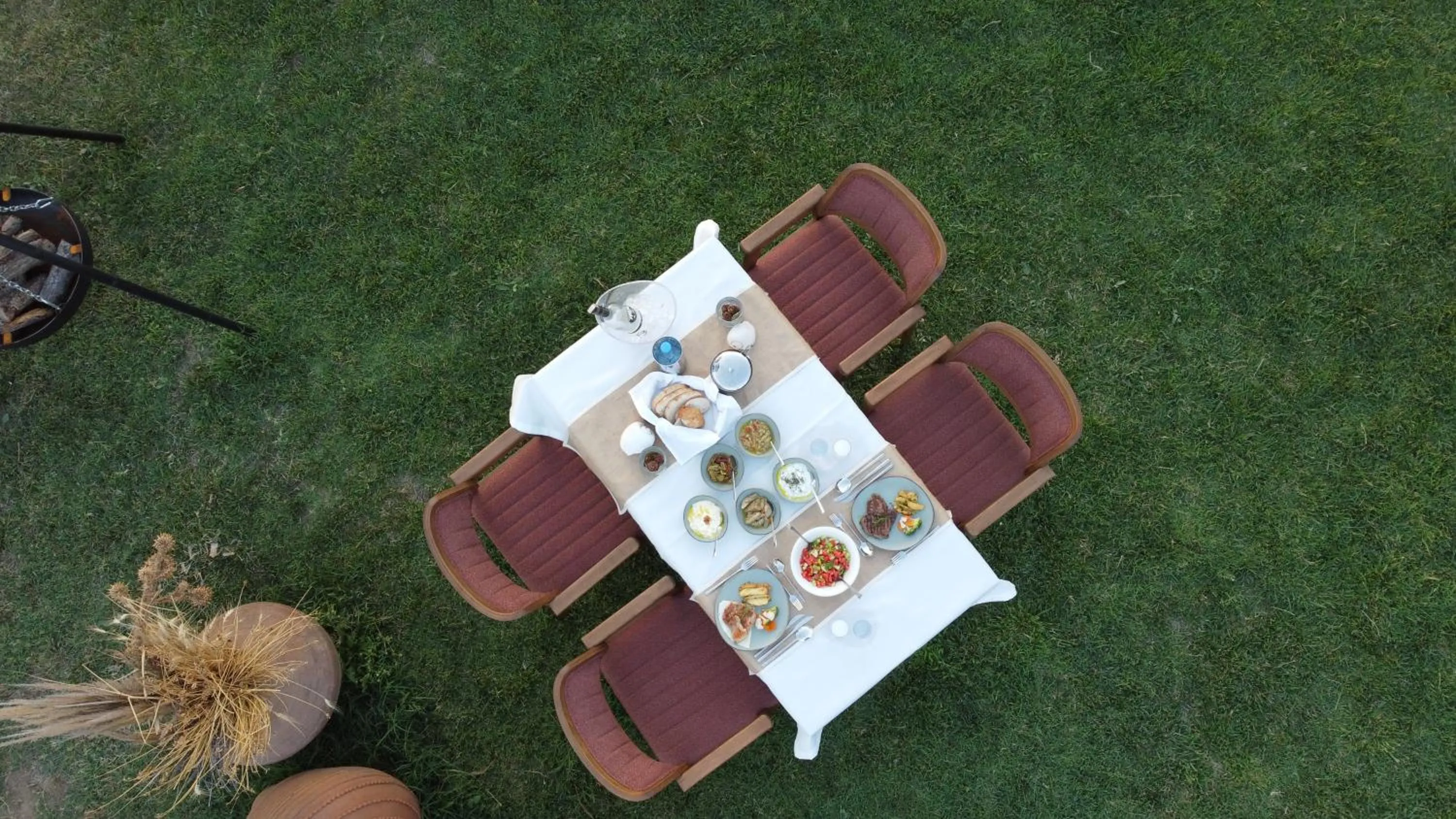 Garden in Hotel Milestone1915