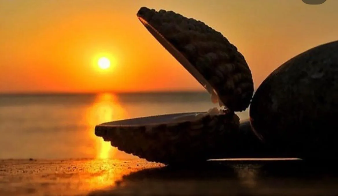 Diving in Hotel Milestone1915