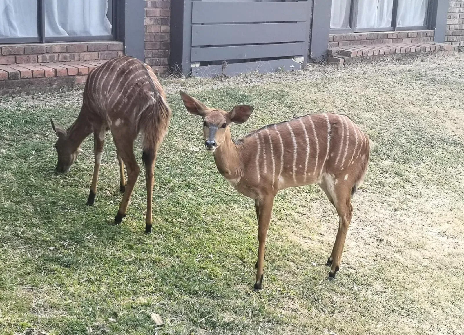 The Venue Country Hotel & Spa