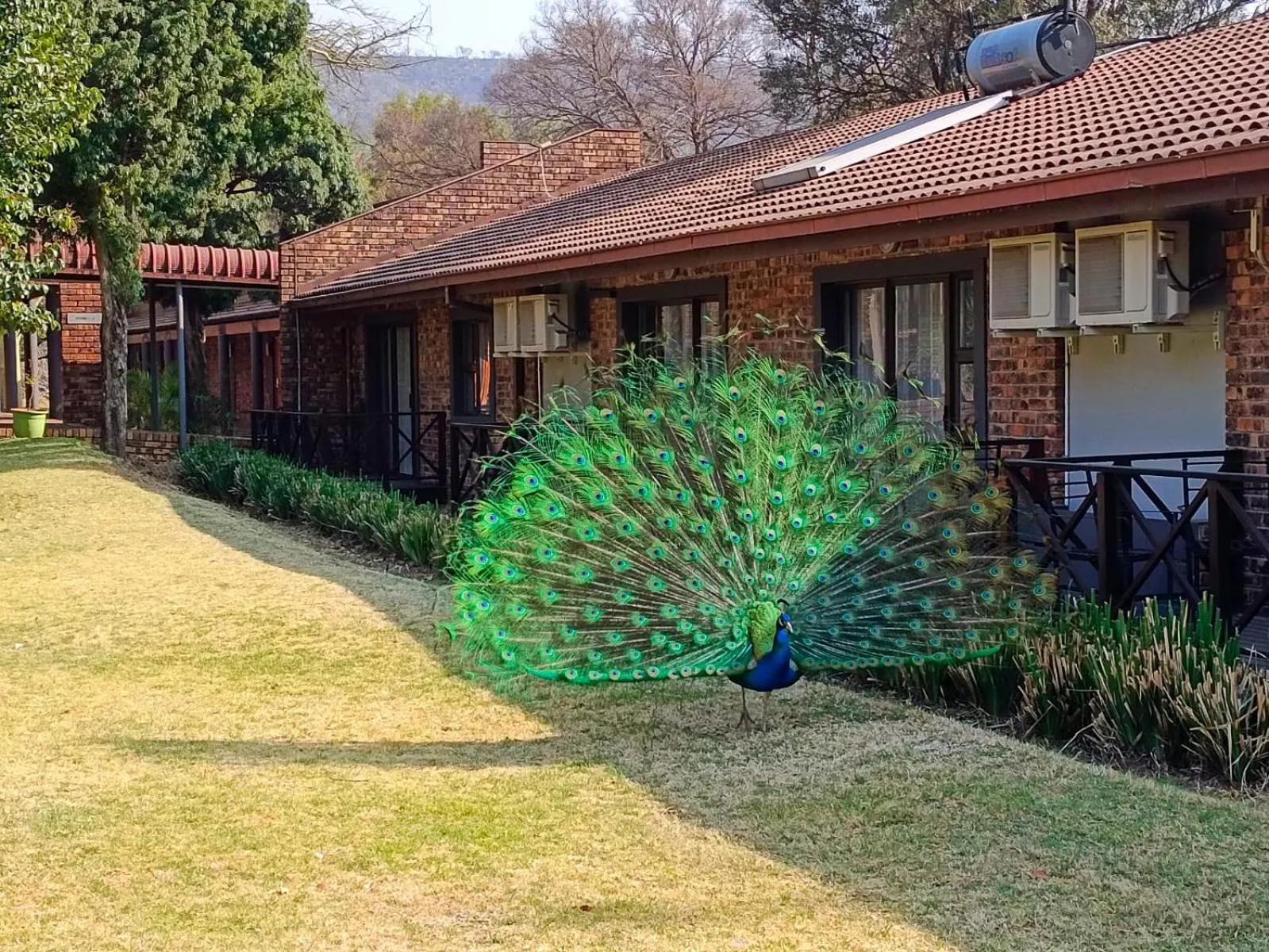 The Venue Country Hotel & Spa