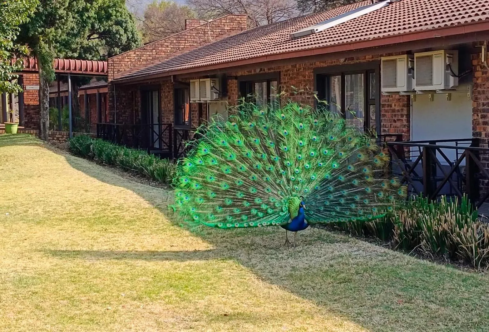 The Venue Country Hotel & Spa