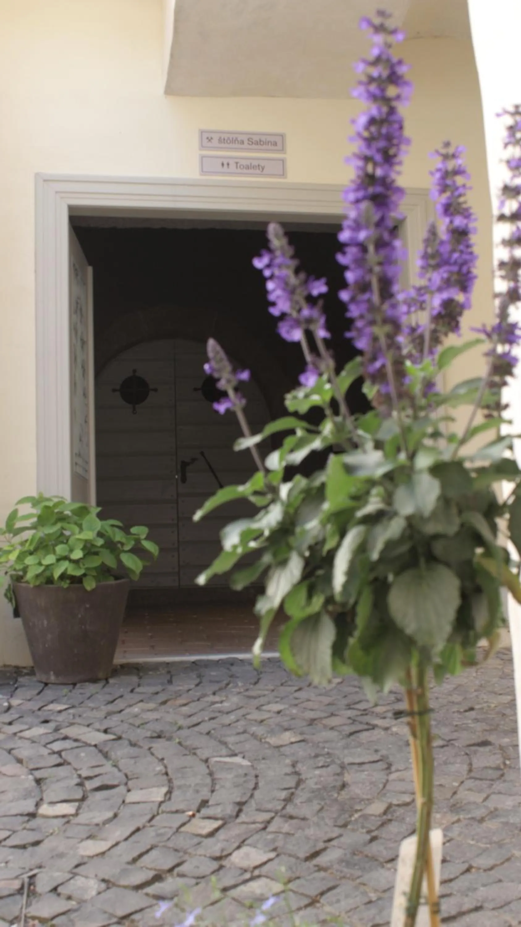 Gavalier Design Rooms