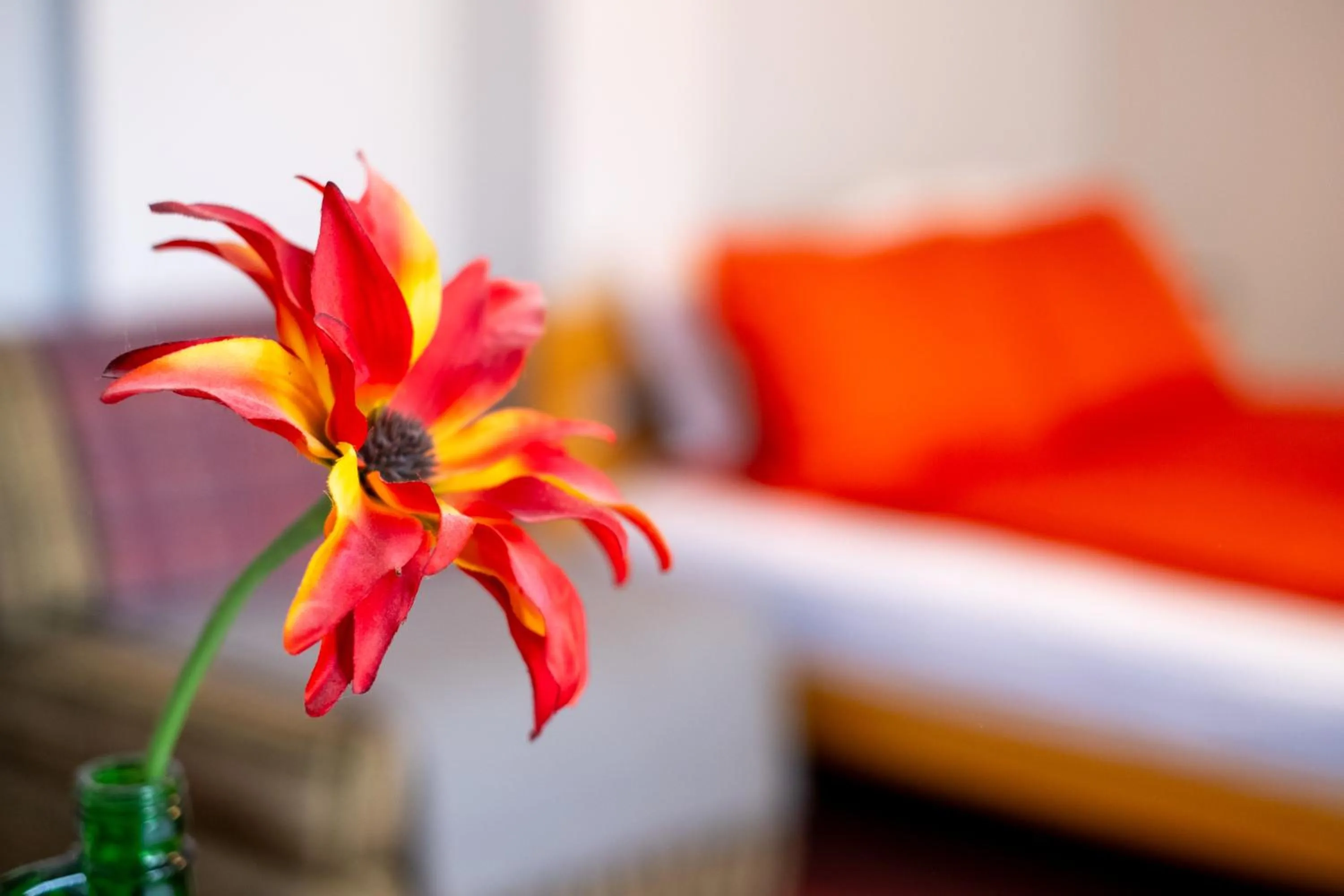 Bedroom, Bed in Guesthouse Rose