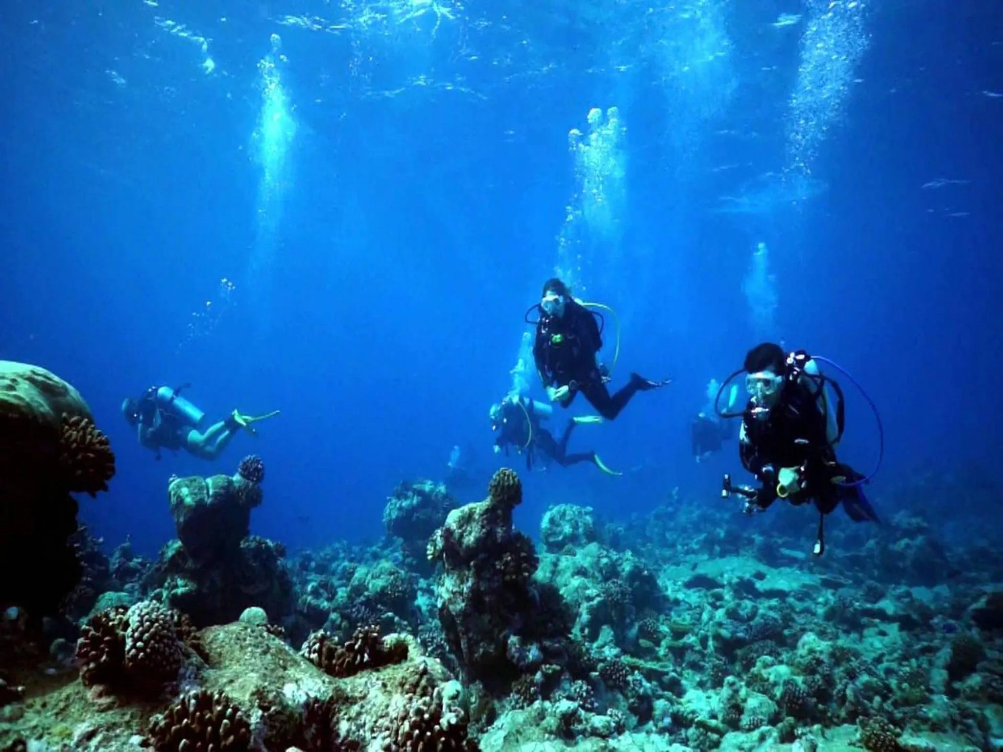 Diving in Vista Beach Retreat