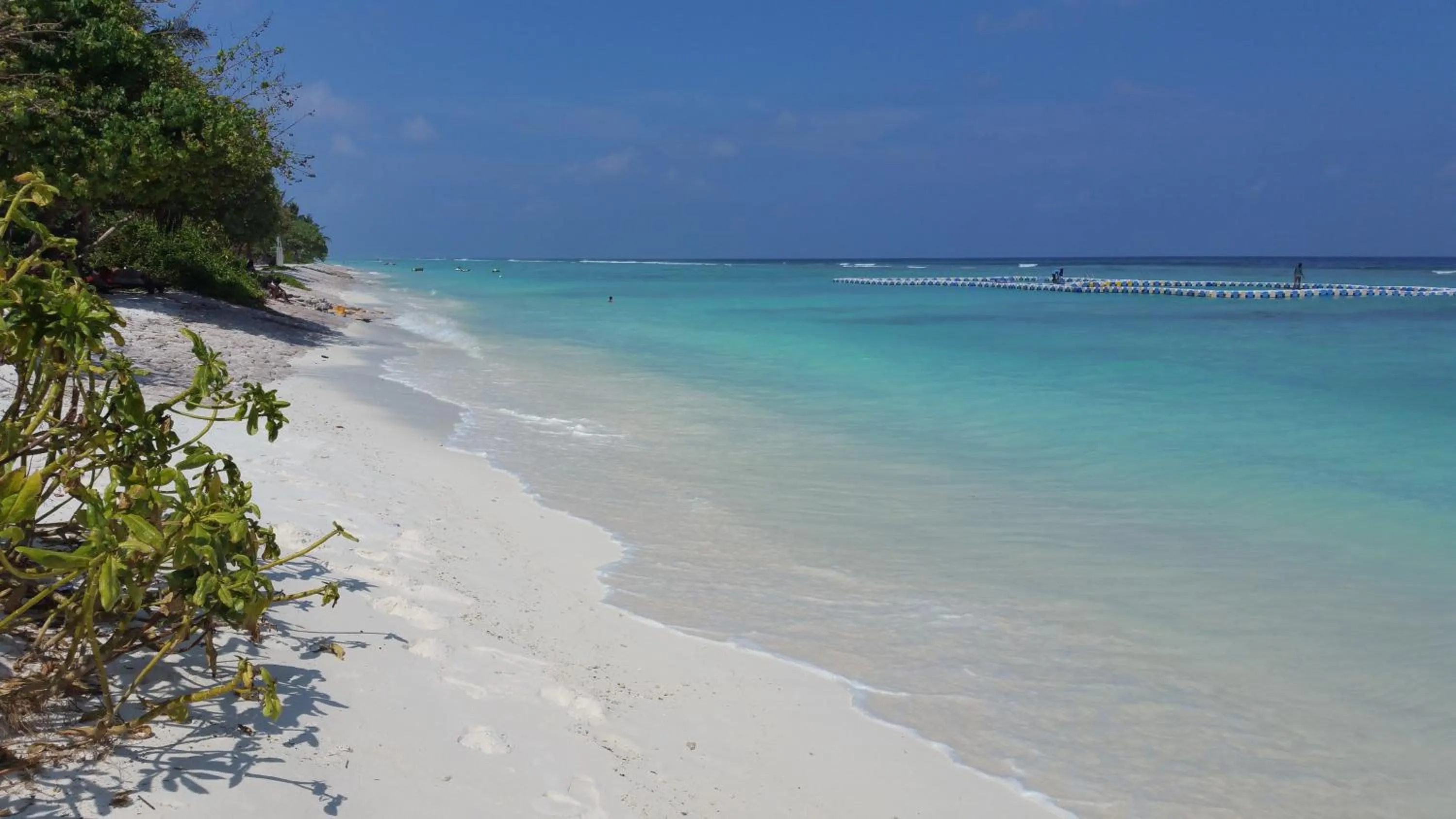 Day in Vista Beach Retreat