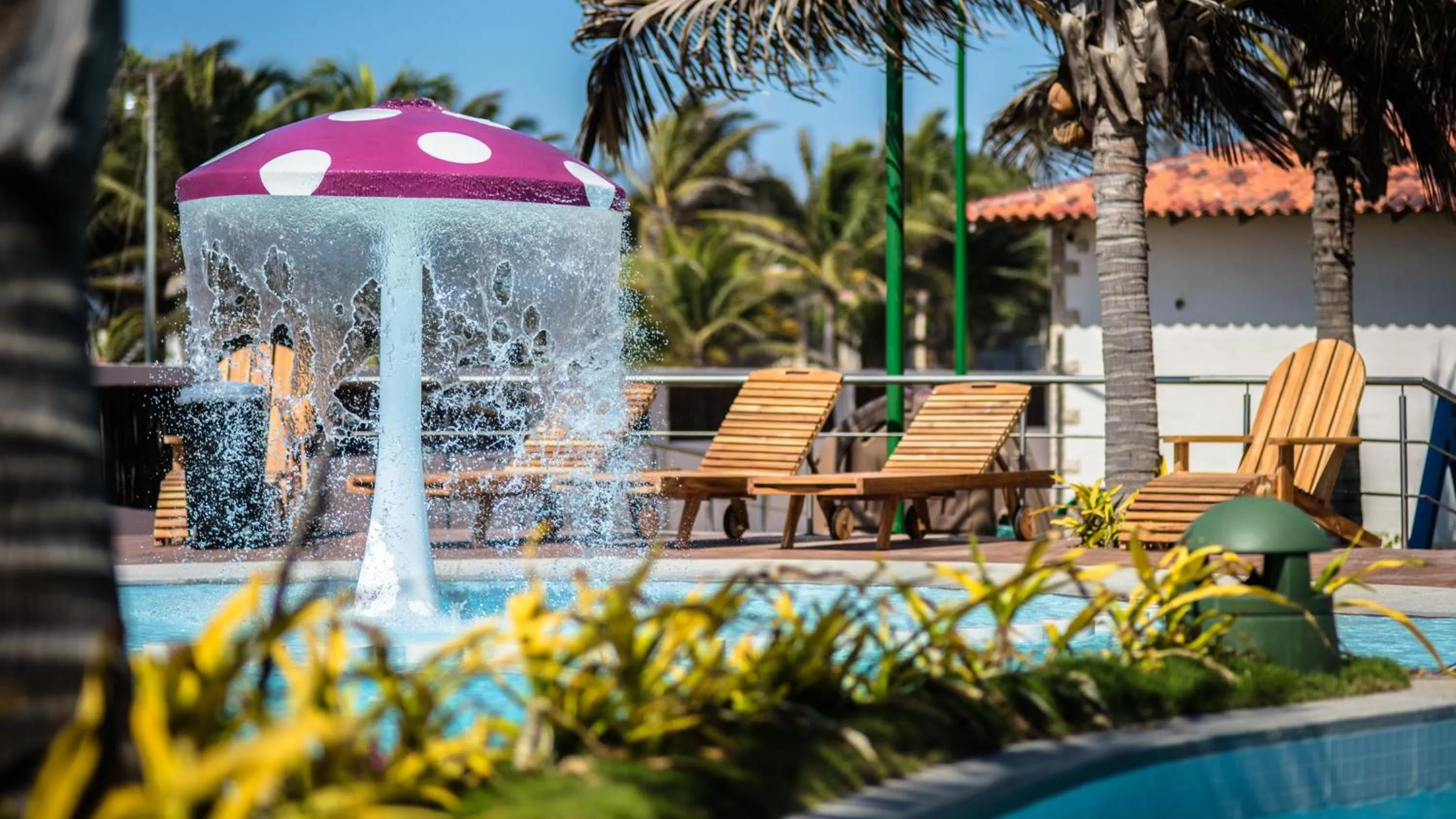 Natural landscape in Playa Paraíso