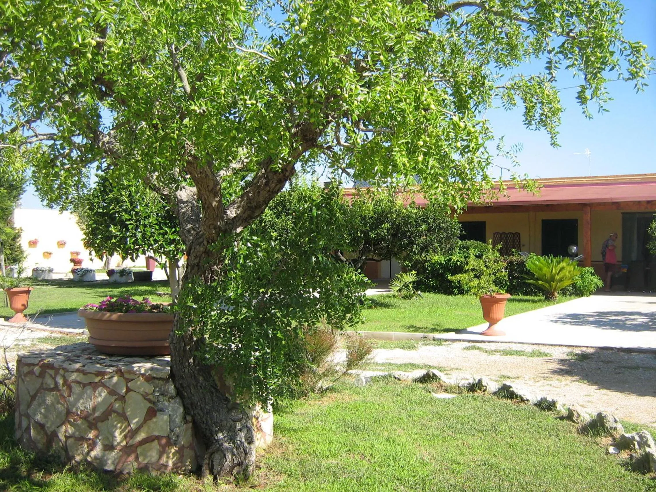 Garden in Tenuta Paifer