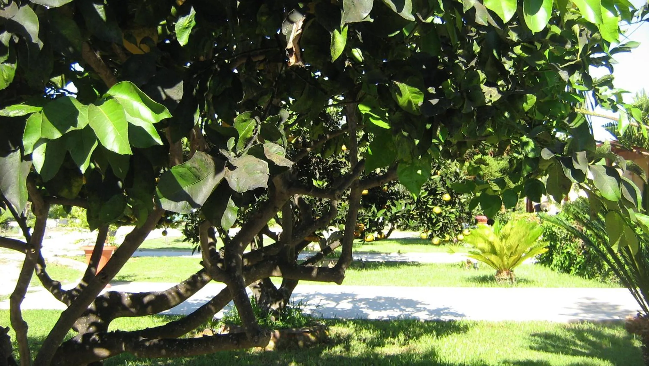 Day in Tenuta Paifer