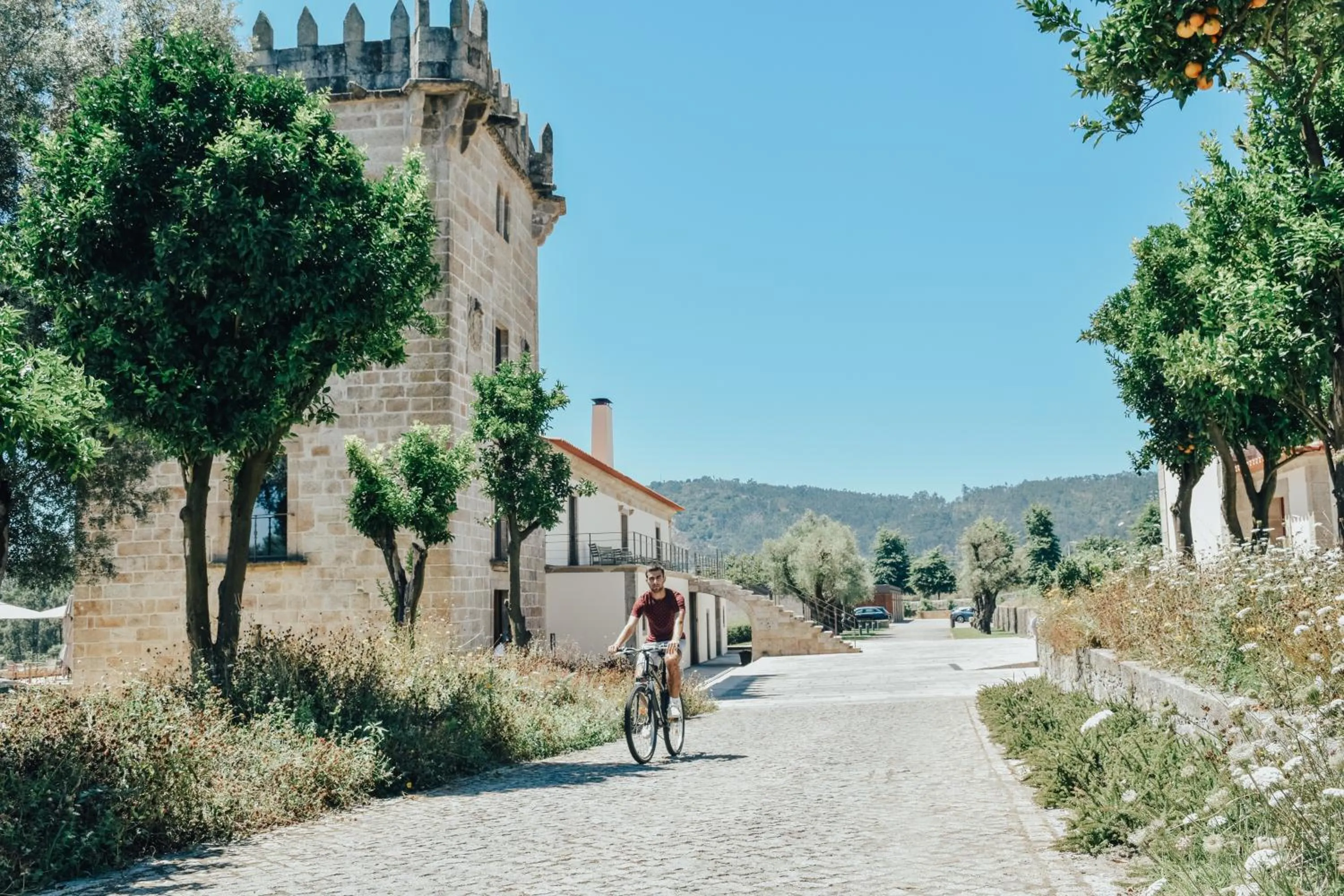 Activities in Torre de Gomariz Wine & Spa Hotel