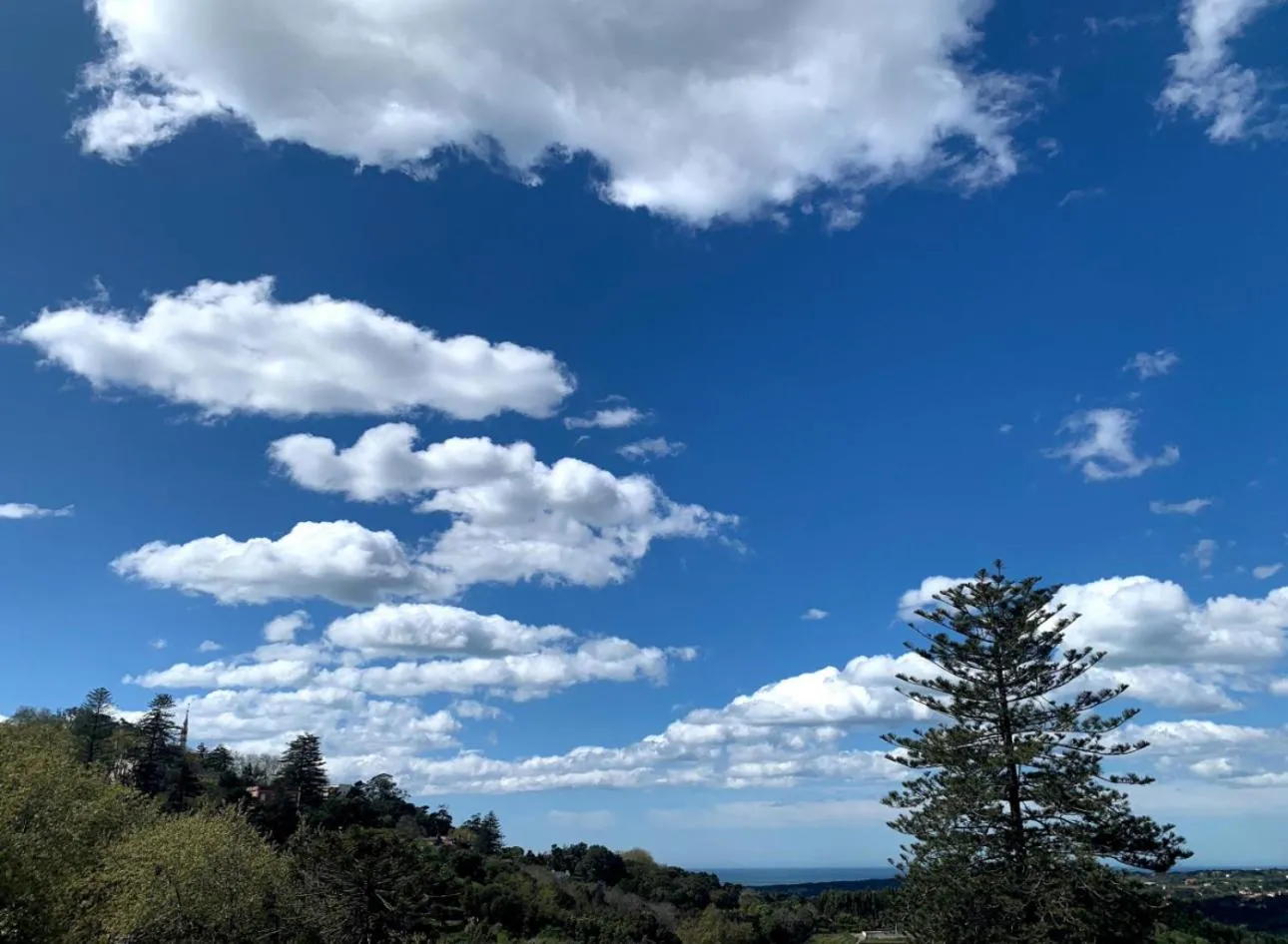 Natural landscape in Casa da Villa 1B