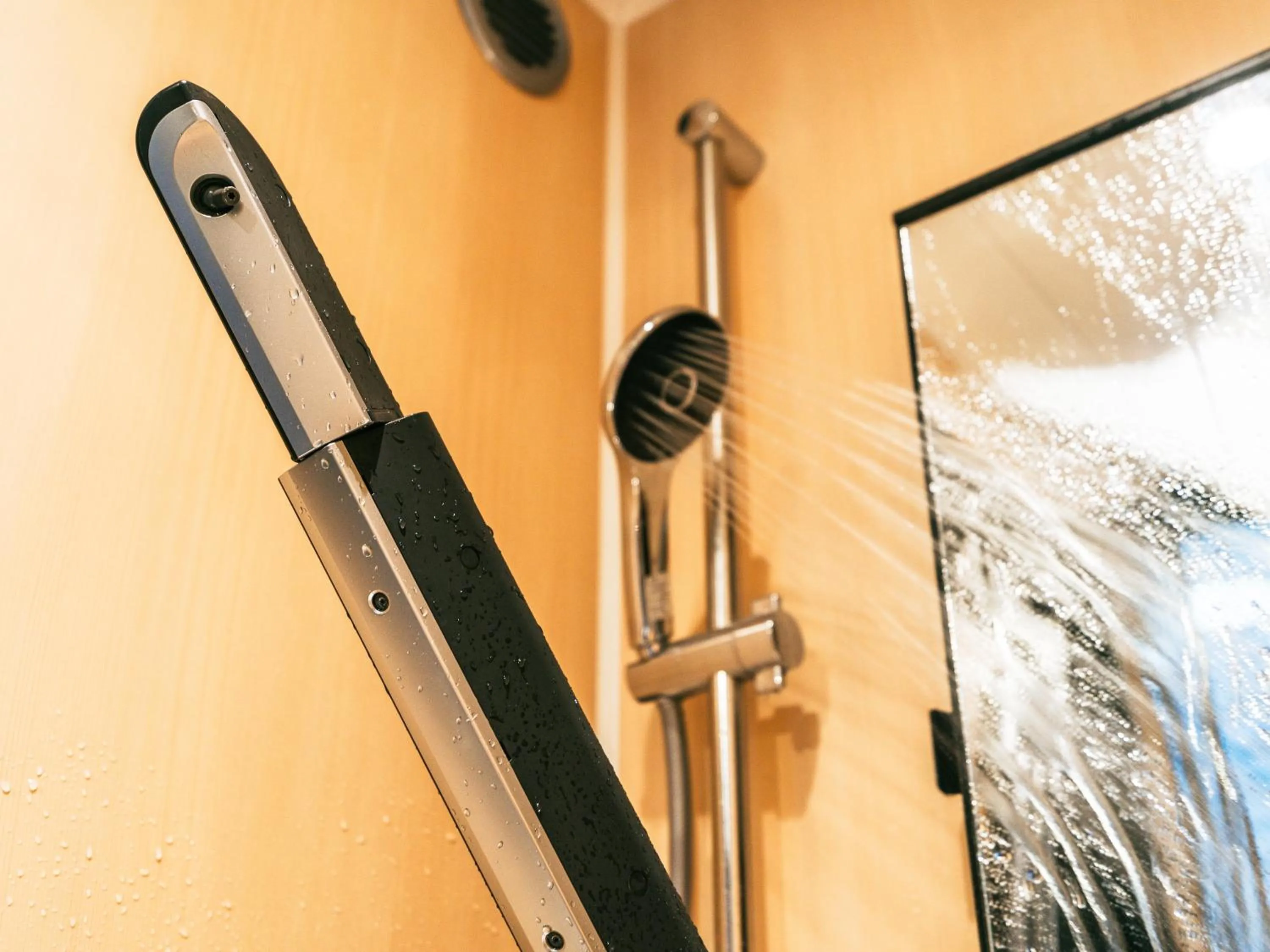 Shower in Richmond Hotel Premier Tokyo Schole