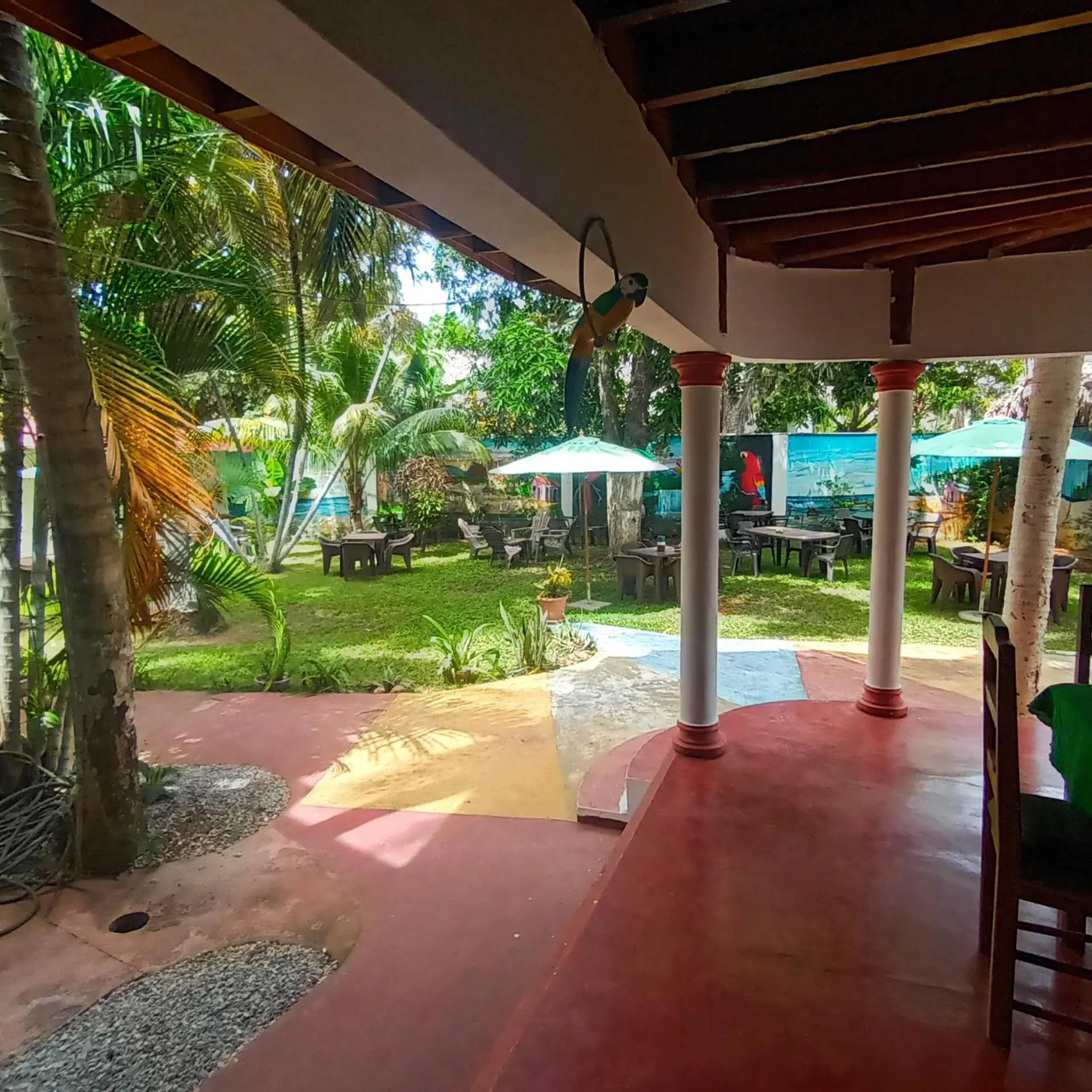 El jardín del coco