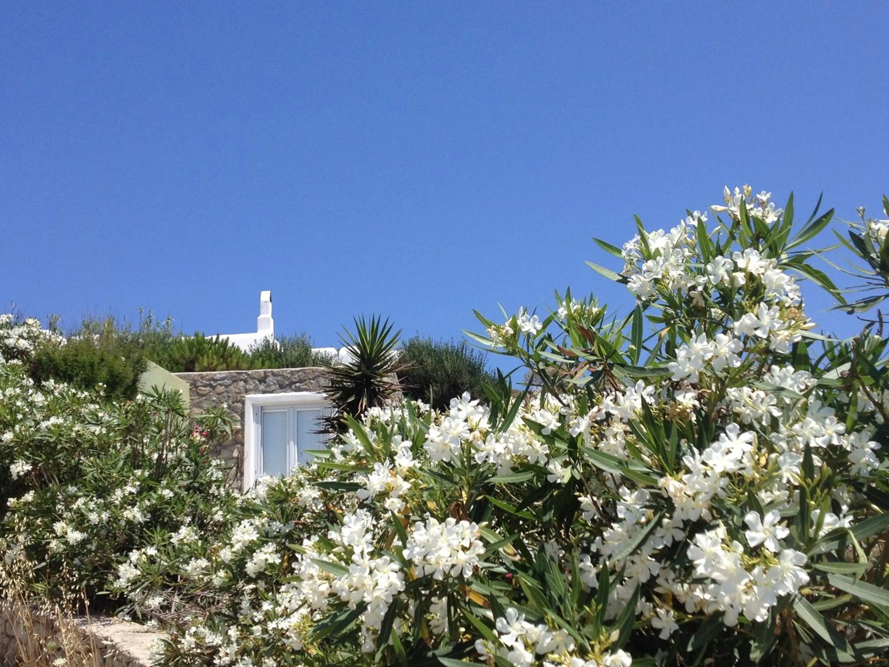 Day in Mykonos Love Nest