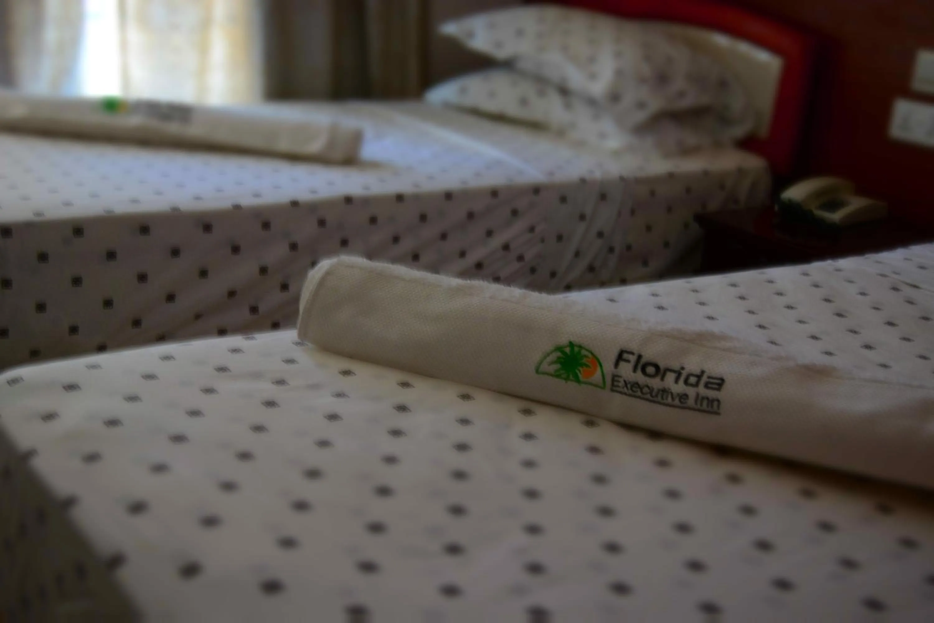 Bed in Florida Executive Inn