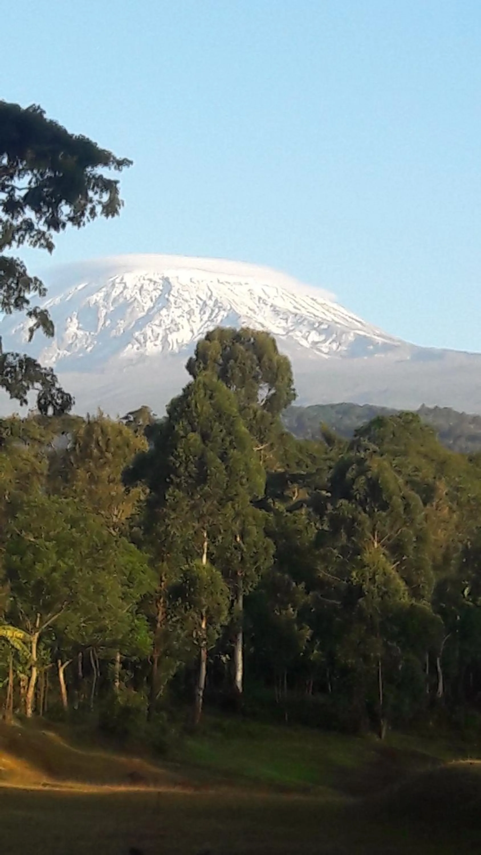 Entertainment in Florida Executive Inn