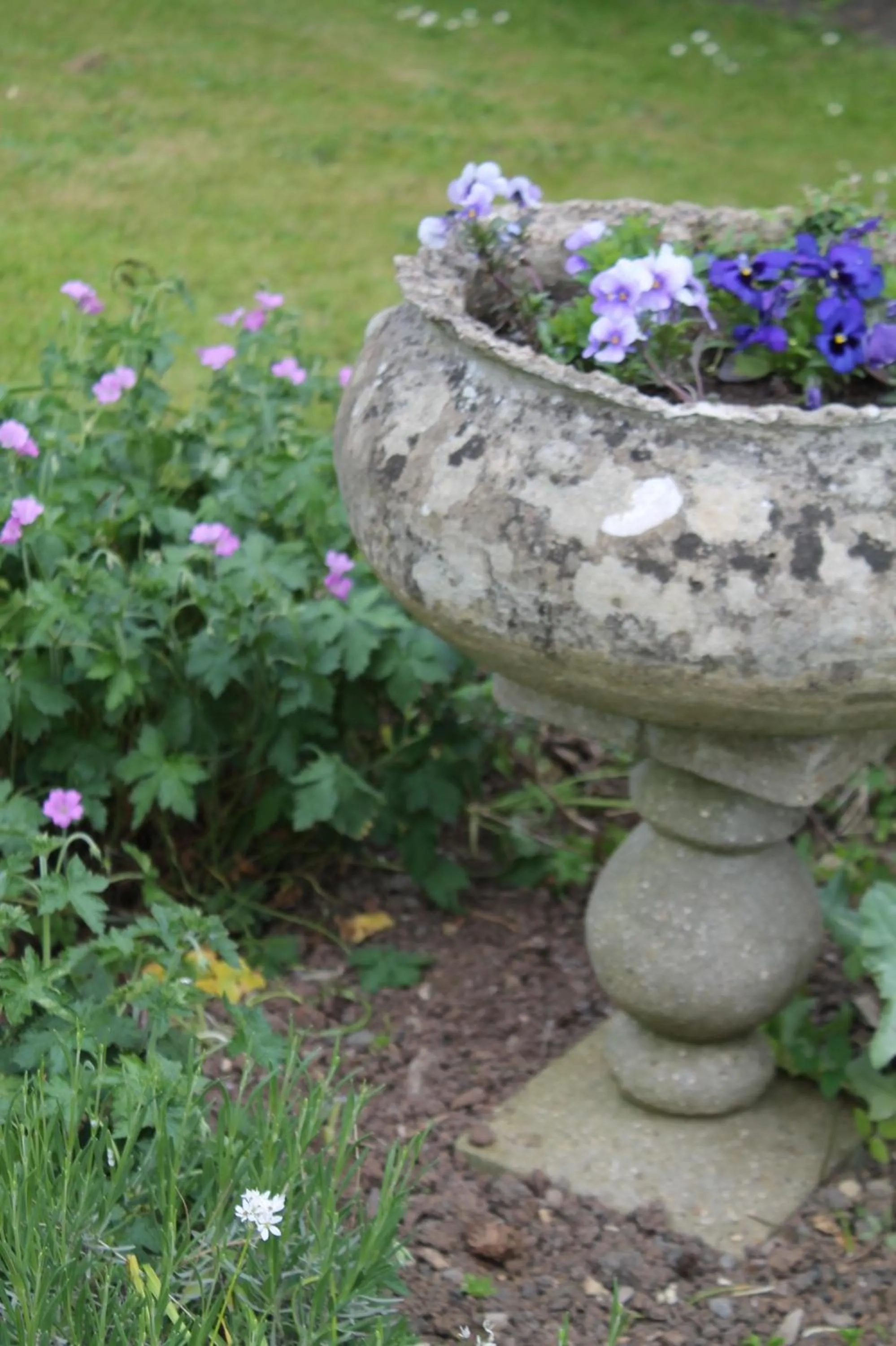 Day in Roundhill Farmhouse