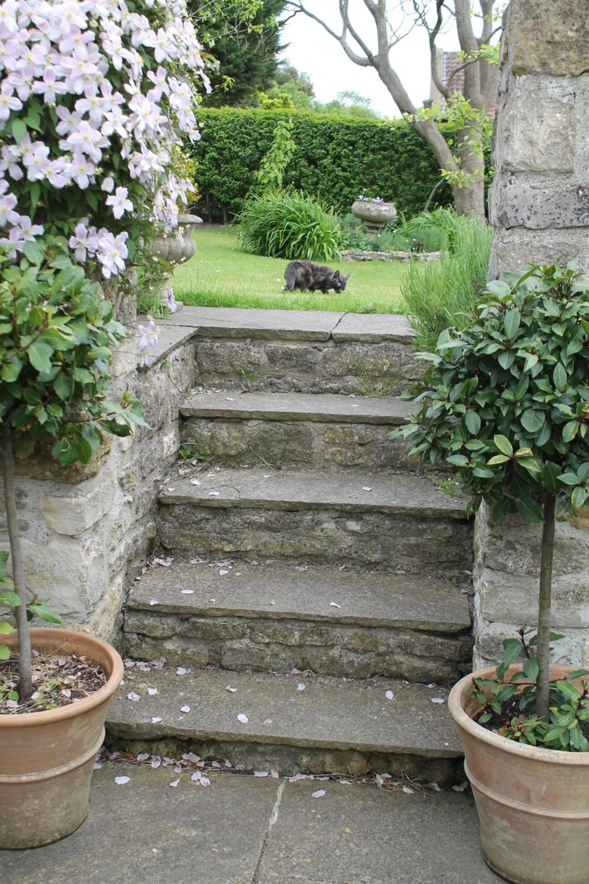 Day in Roundhill Farmhouse
