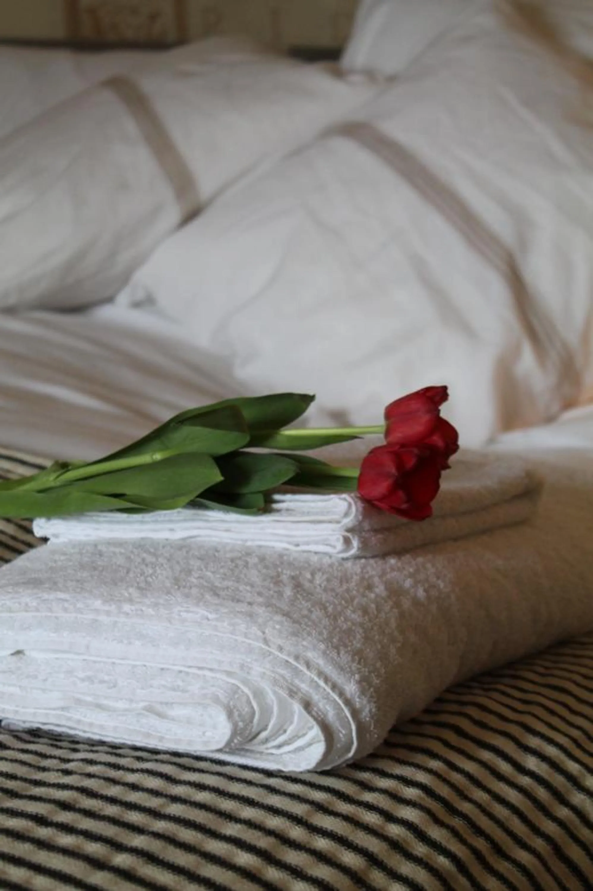 Decorative detail, Bed in Roundhill Farmhouse