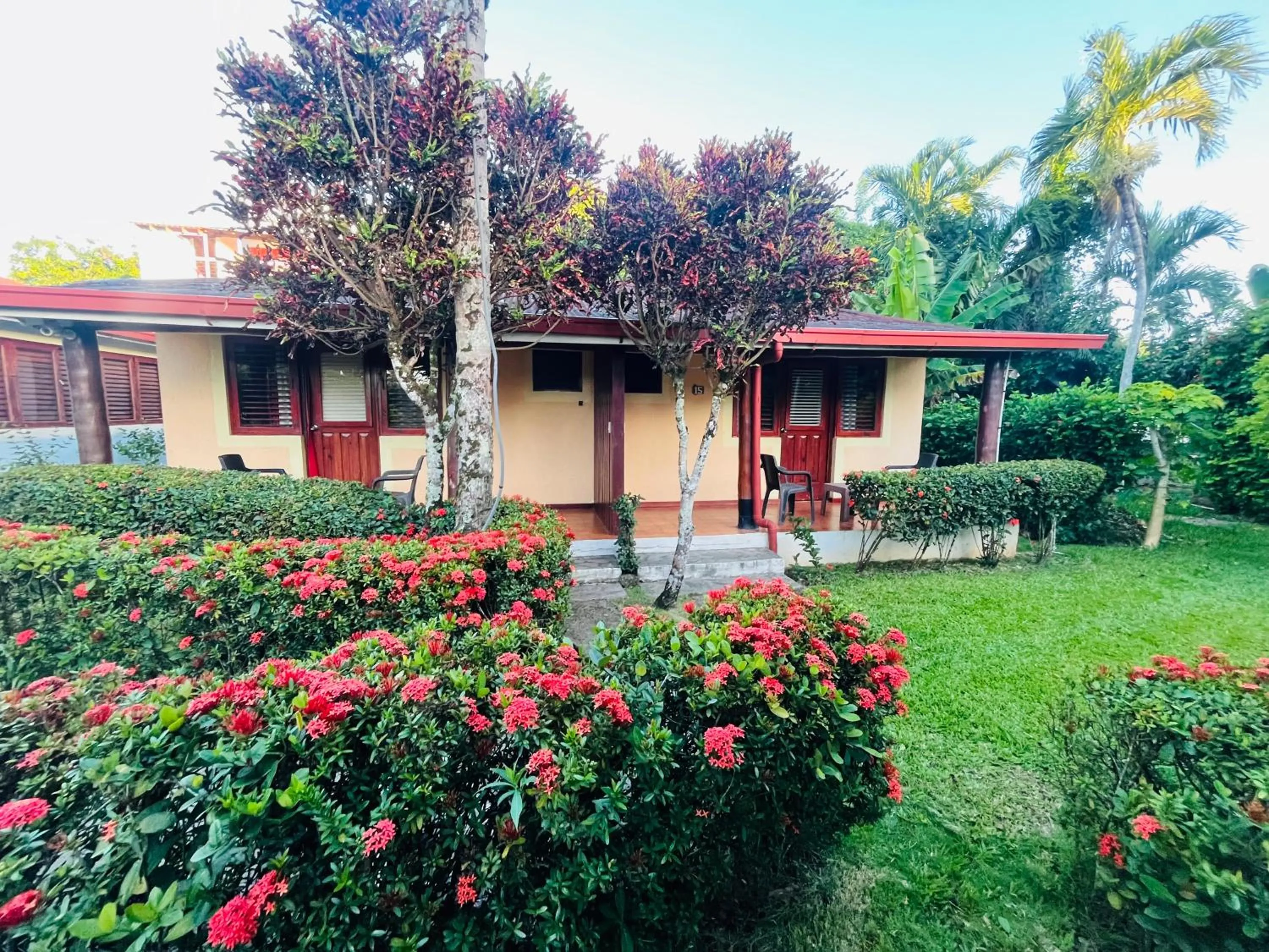 Hotel palococo