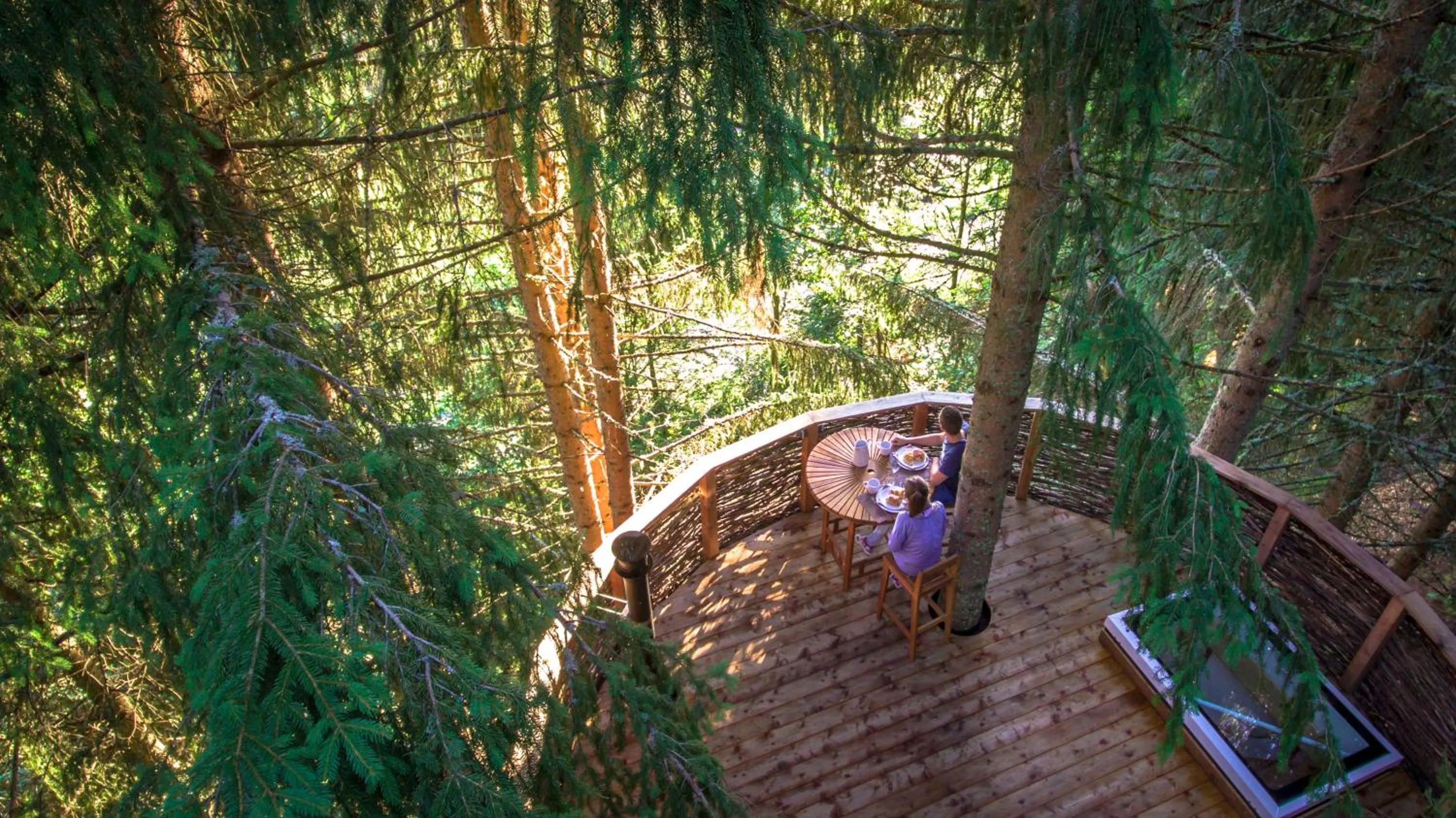 Cabane dans les arbres NID in Cabane entre terre et ciel