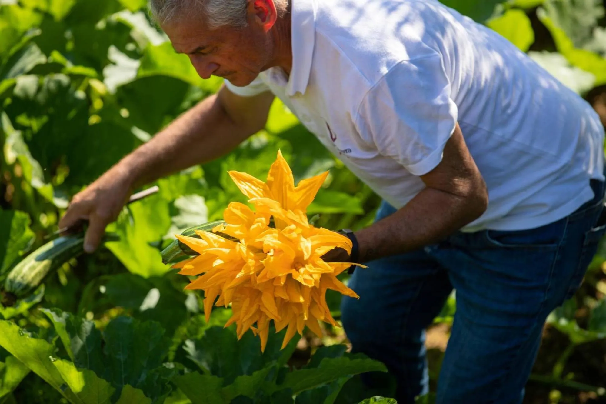 Garden in Villa Ginevra Resort Agrituristico