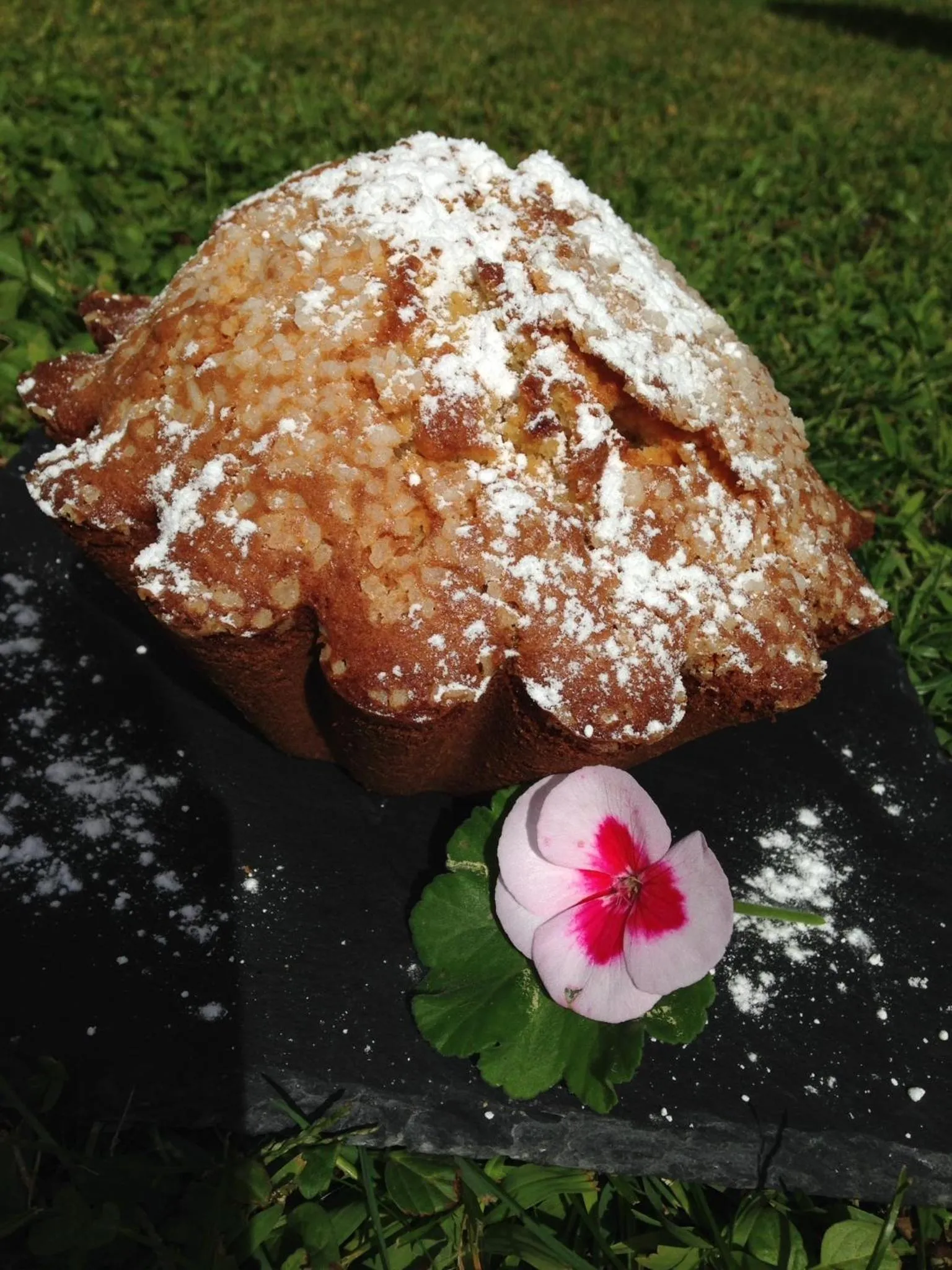 Food and drinks in Chalet des Palmiers